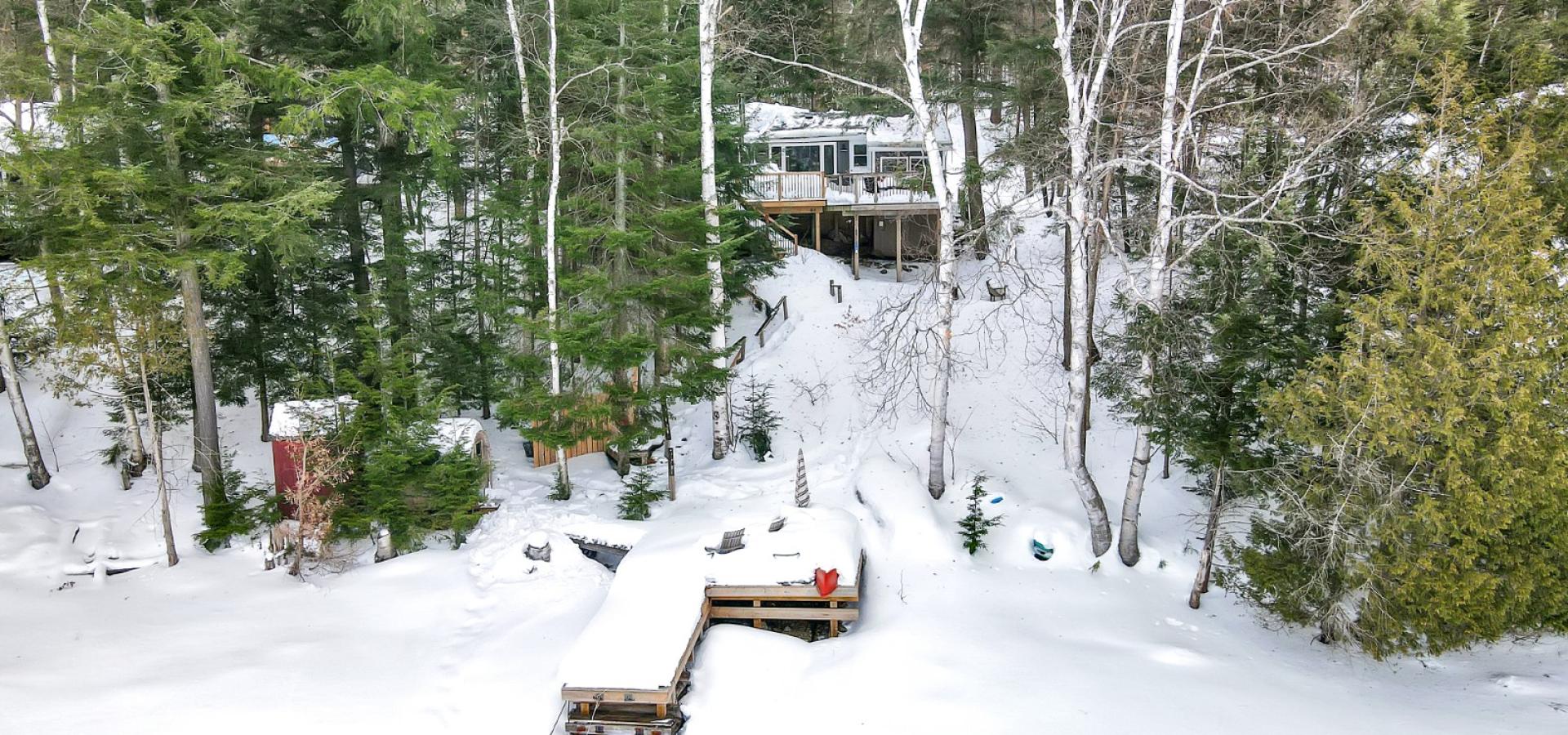 Cottage hidden behind trees, snow on the ground and dock covered in snow.