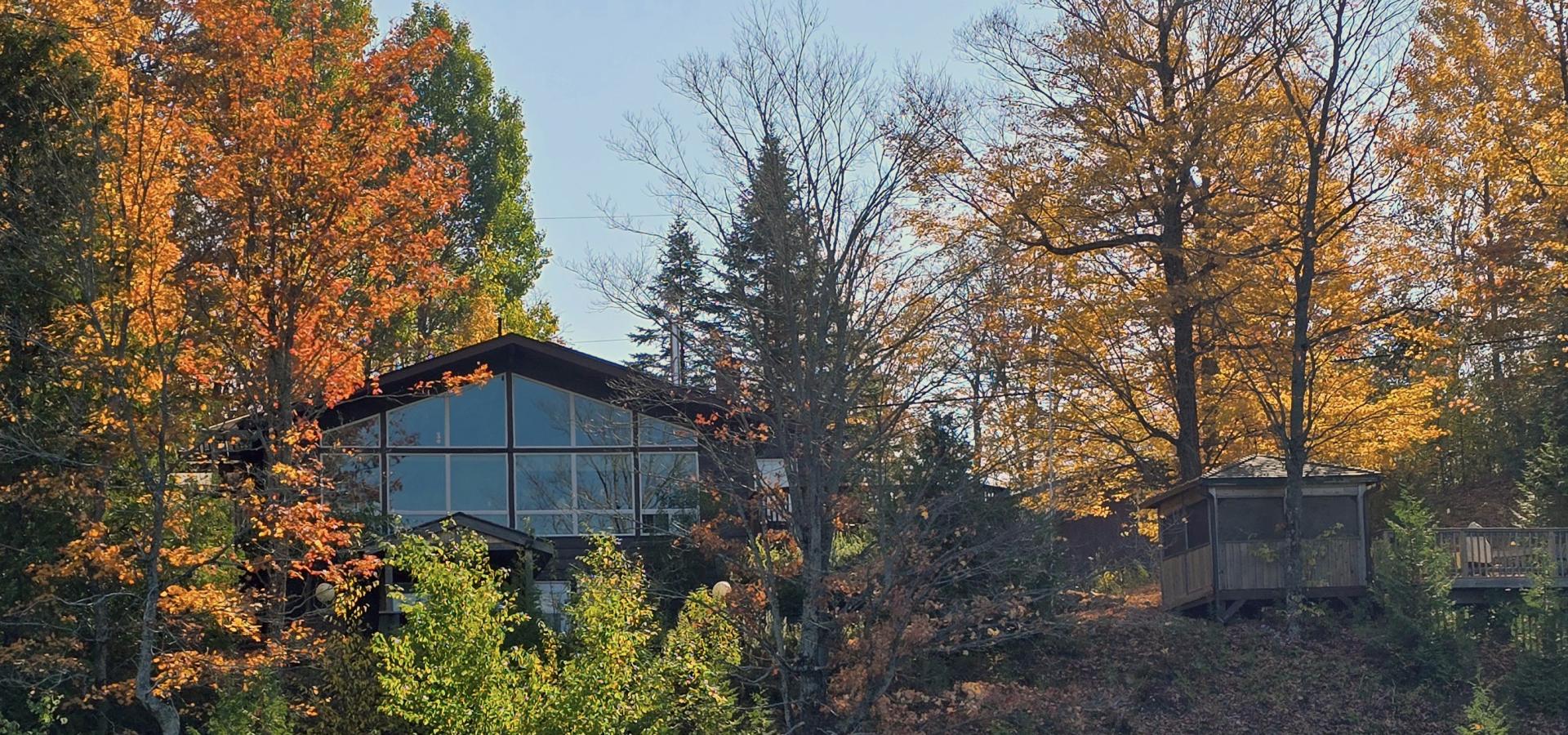 Cottage hidden by trees with fall colours
