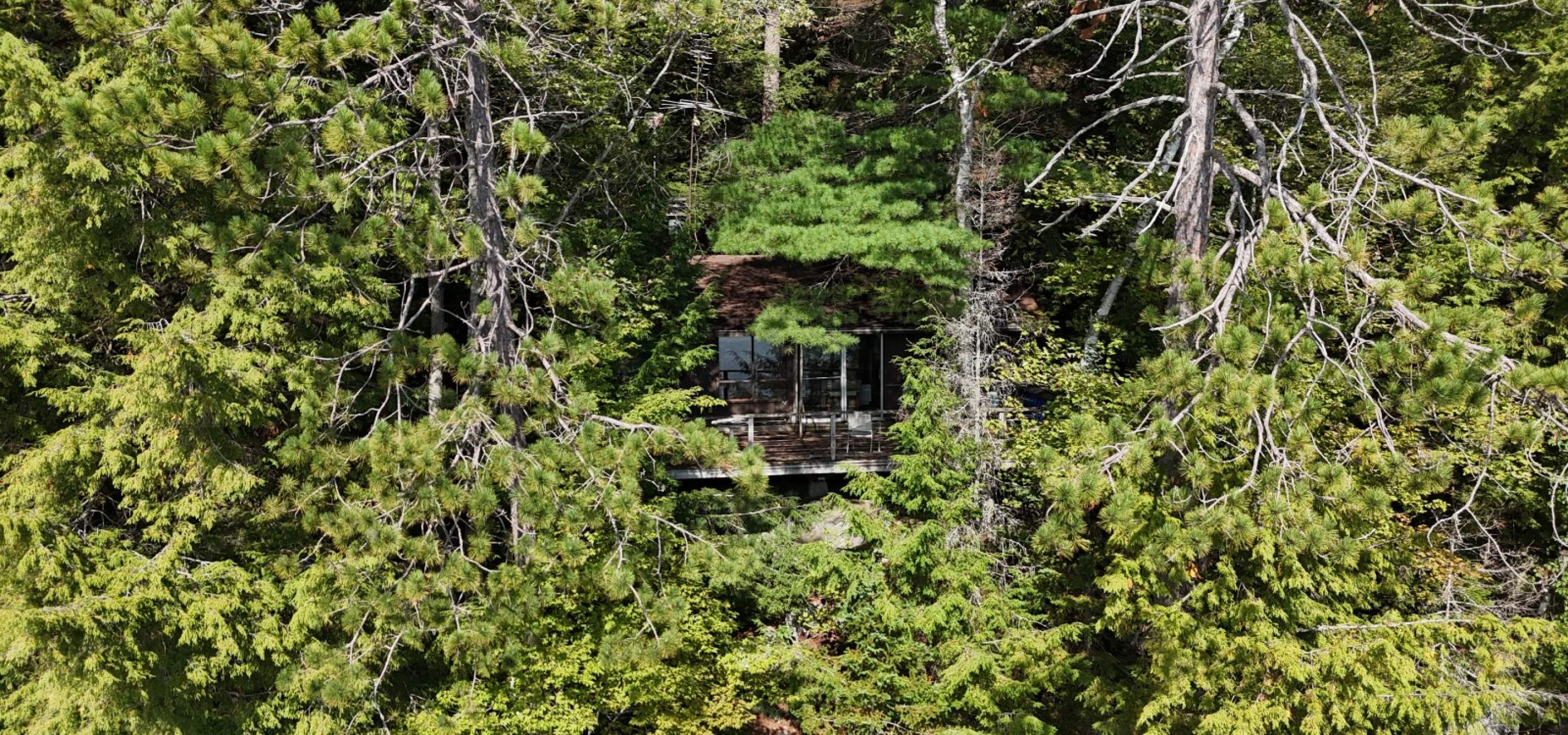 Aerial View of a cottage framed with trees all the way around it. 