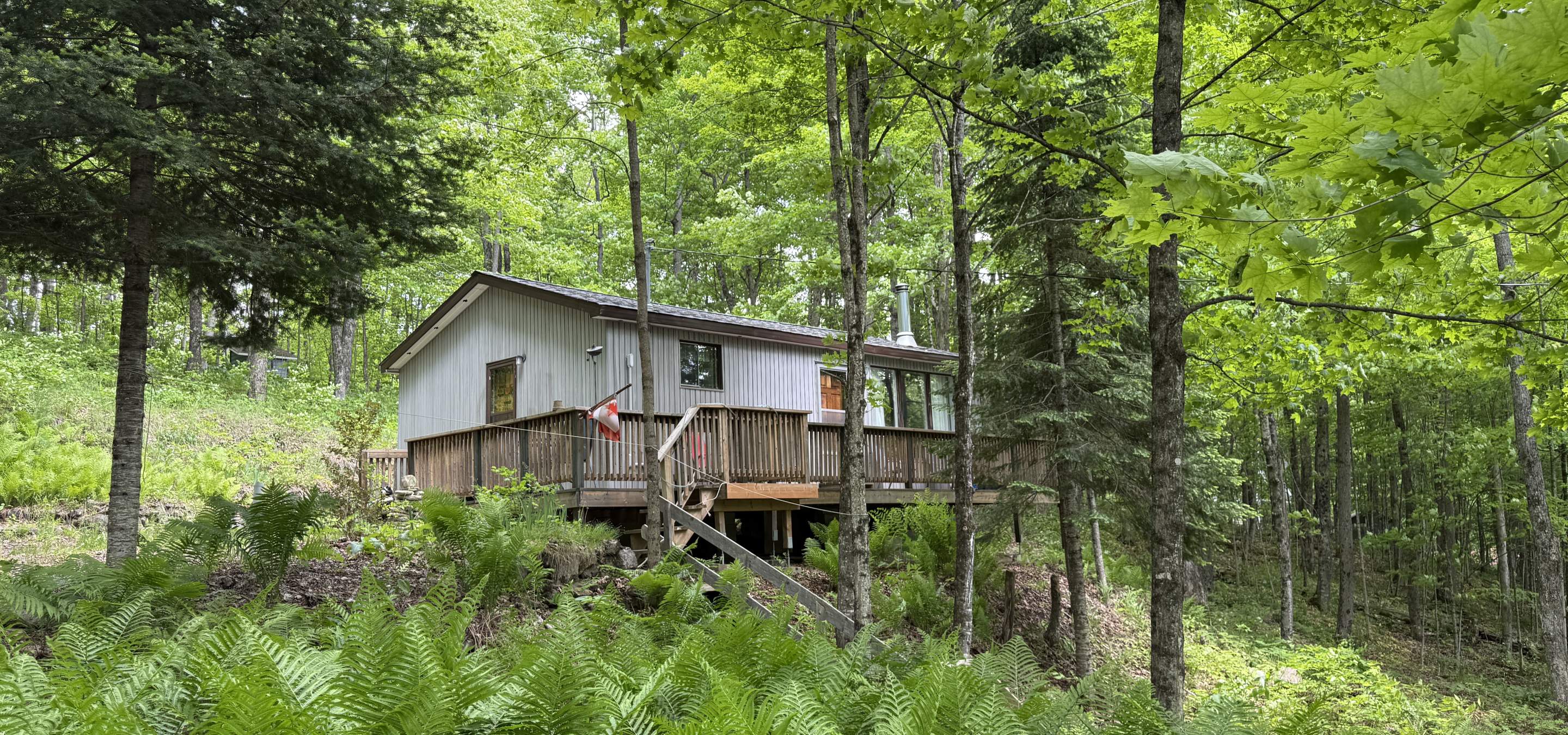white cottage with deck and surrounded by trees