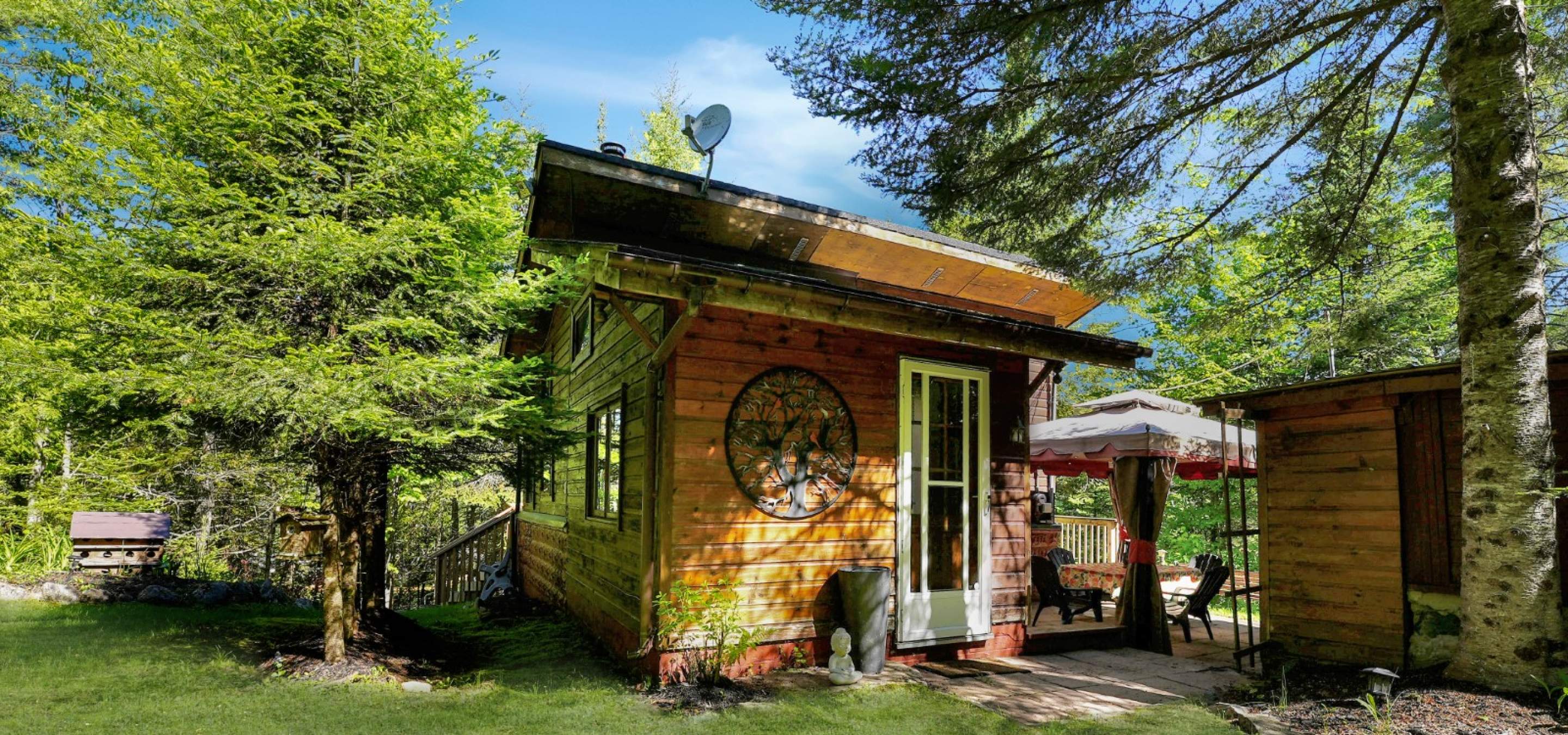 Cabin in the woods with green grass out front