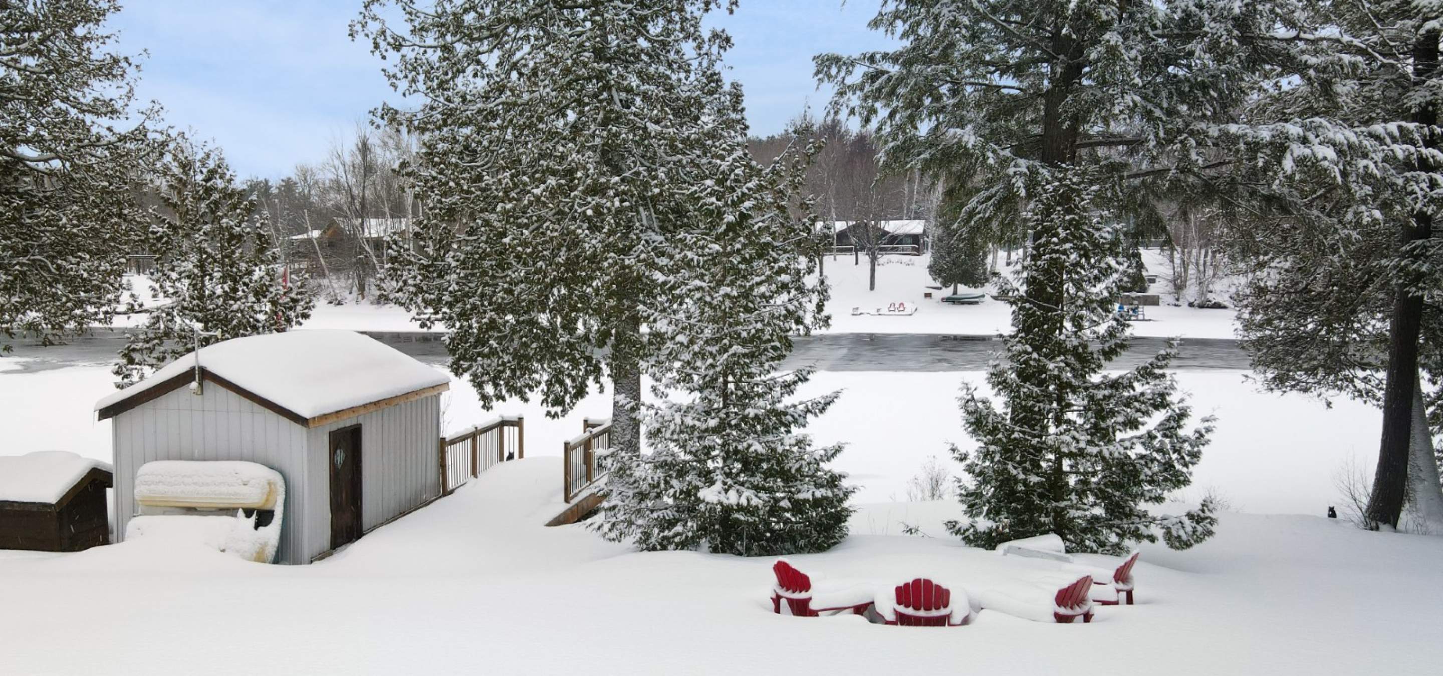 View from deck with patio table and umbrella, with trees in the background.