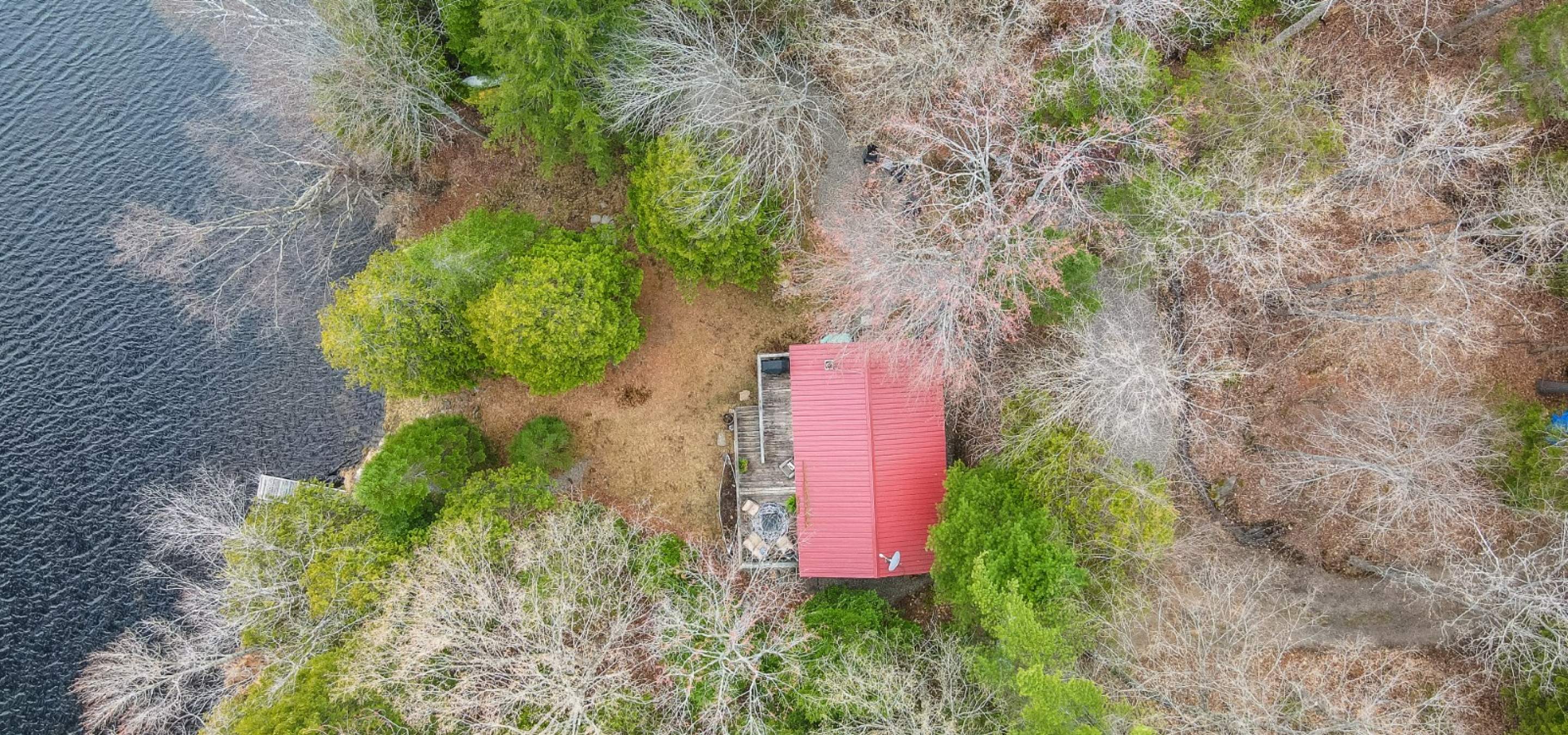Aerial view of a cottage with a red roof, surrounded by trees
