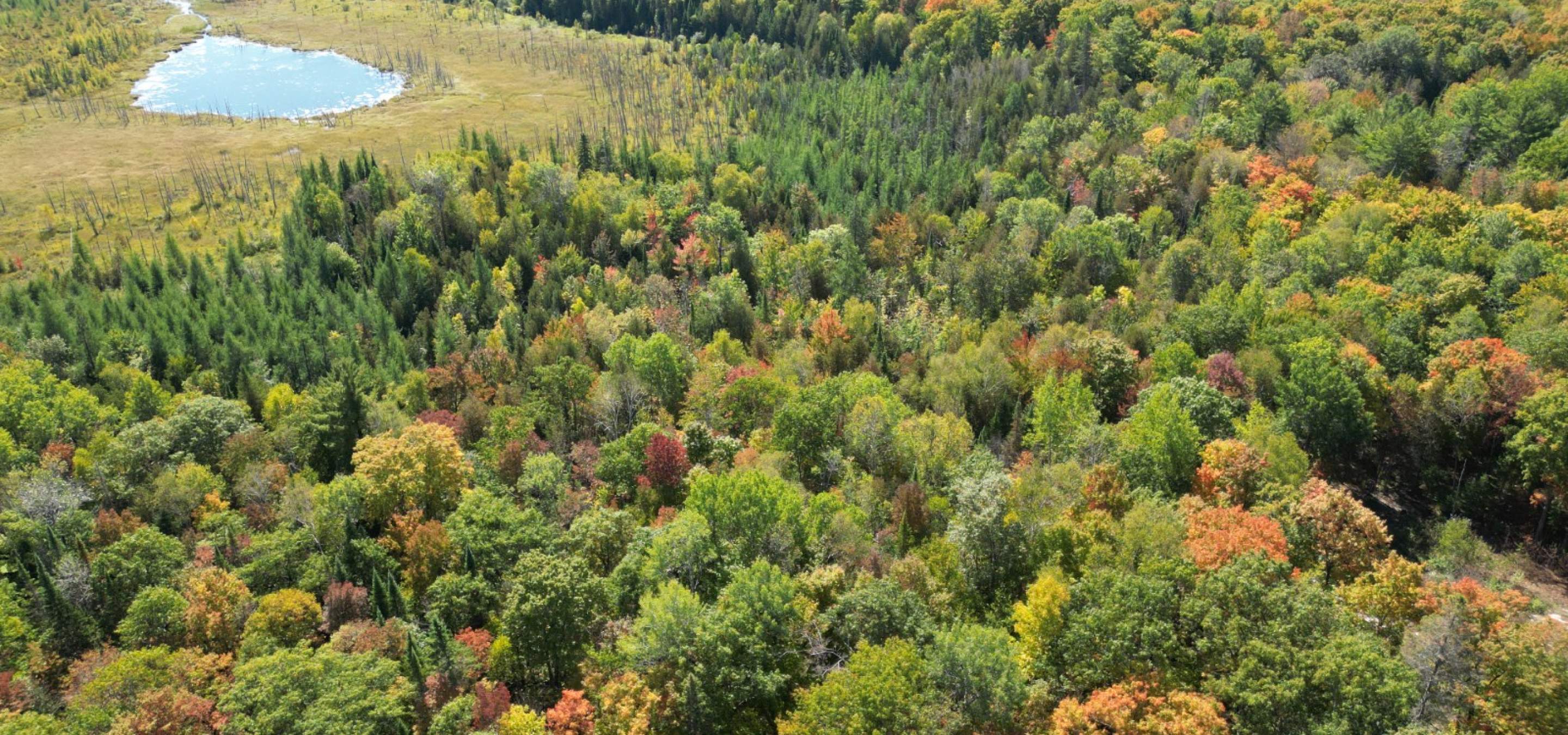 Aerial View of a vacant lot