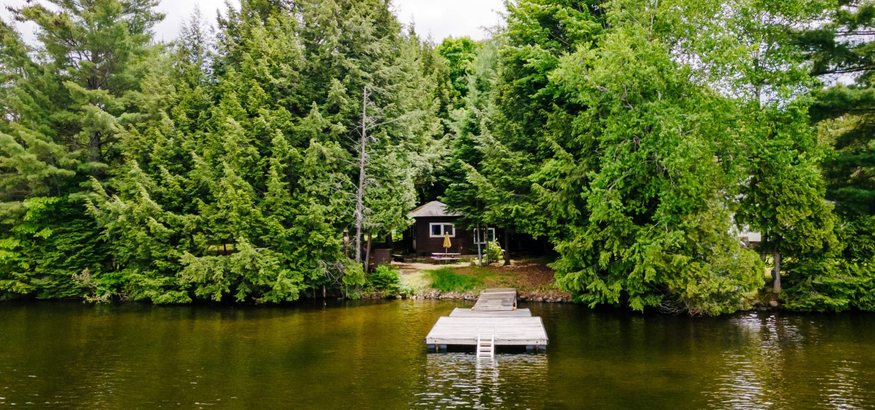 dark brown cottage hidden amoungst tall trees, with a sandy beach area out in front. A dock out into the water. 