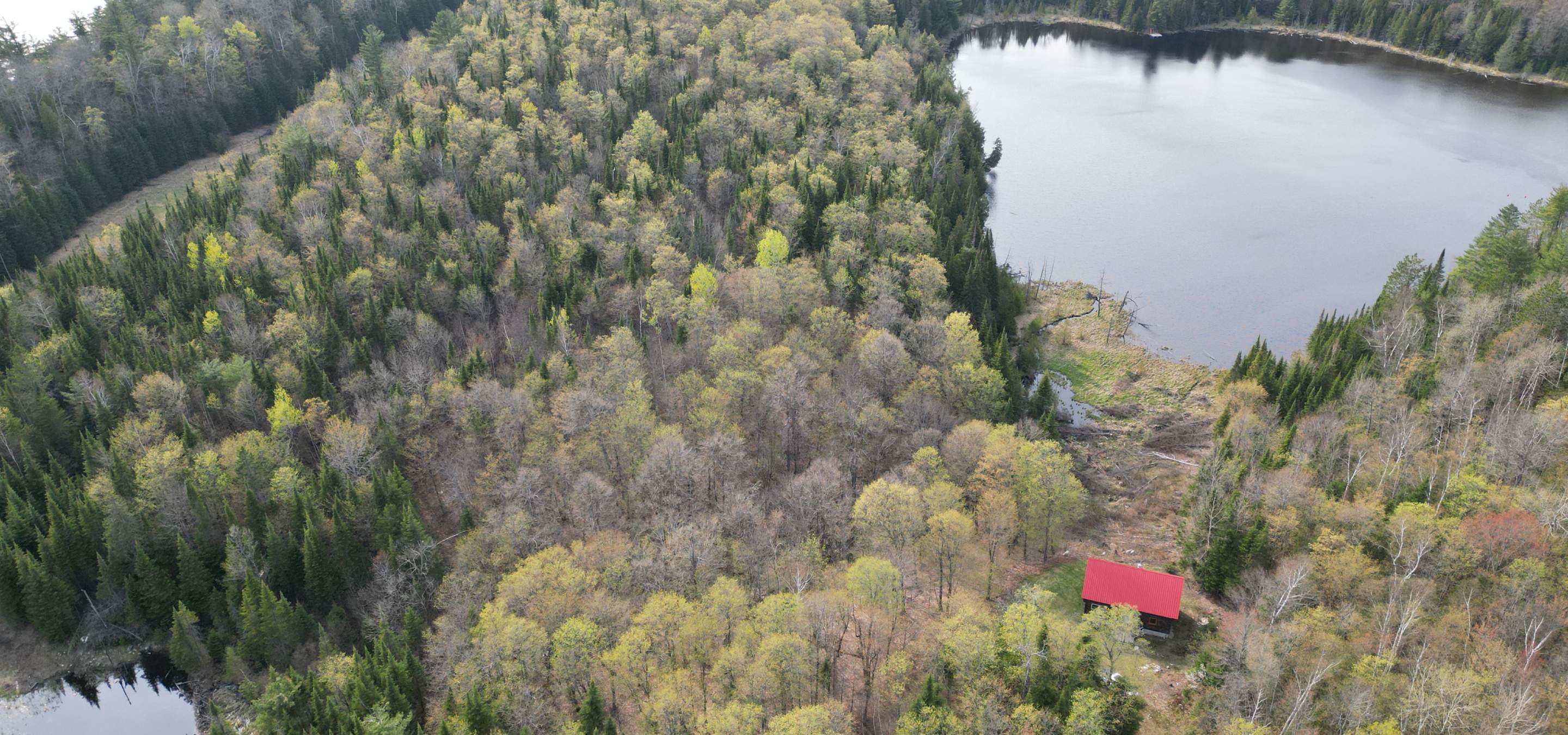 Acres of trees surrounding a cabin with a red roof facing out over a lake.