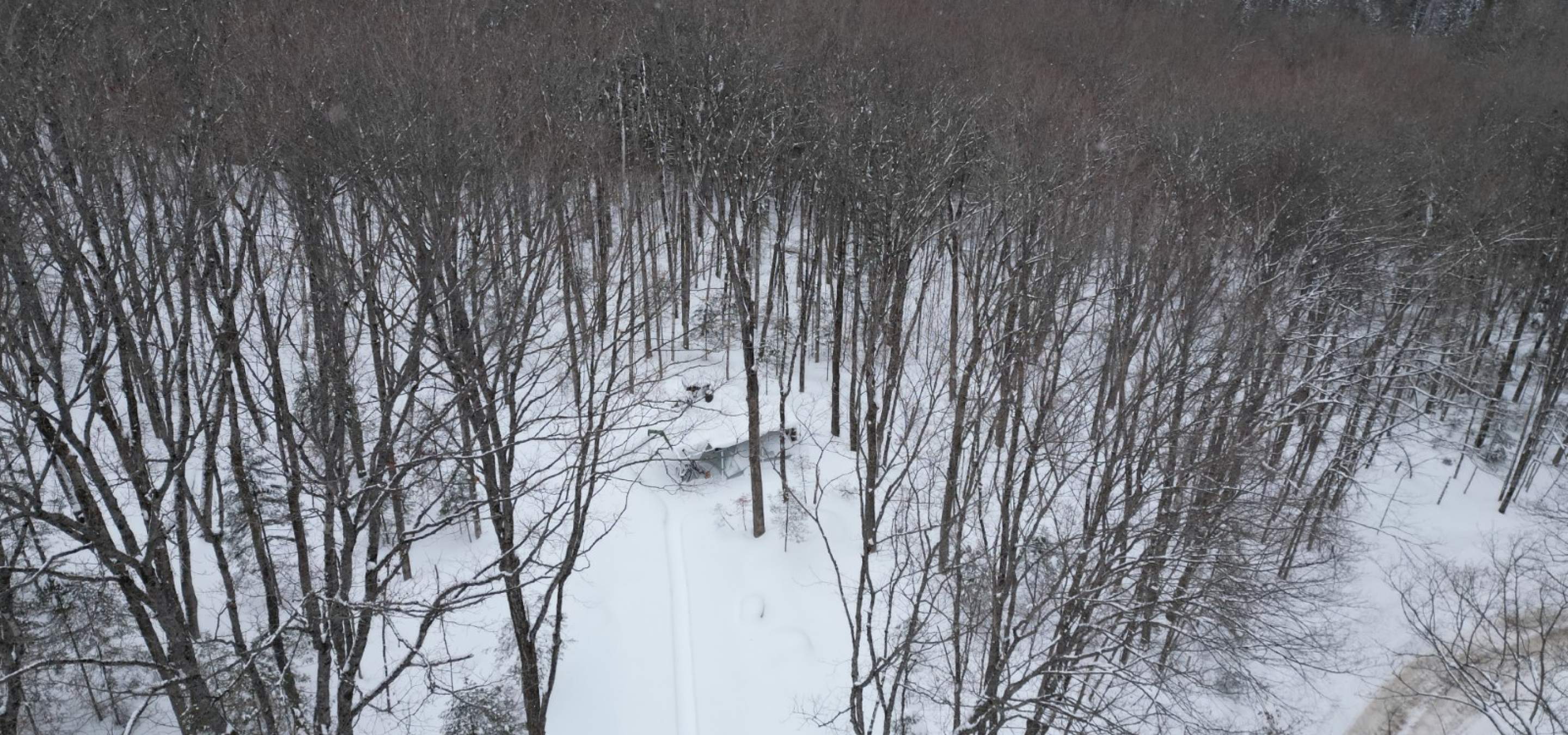 Aerial view of a snow covered lot with trees