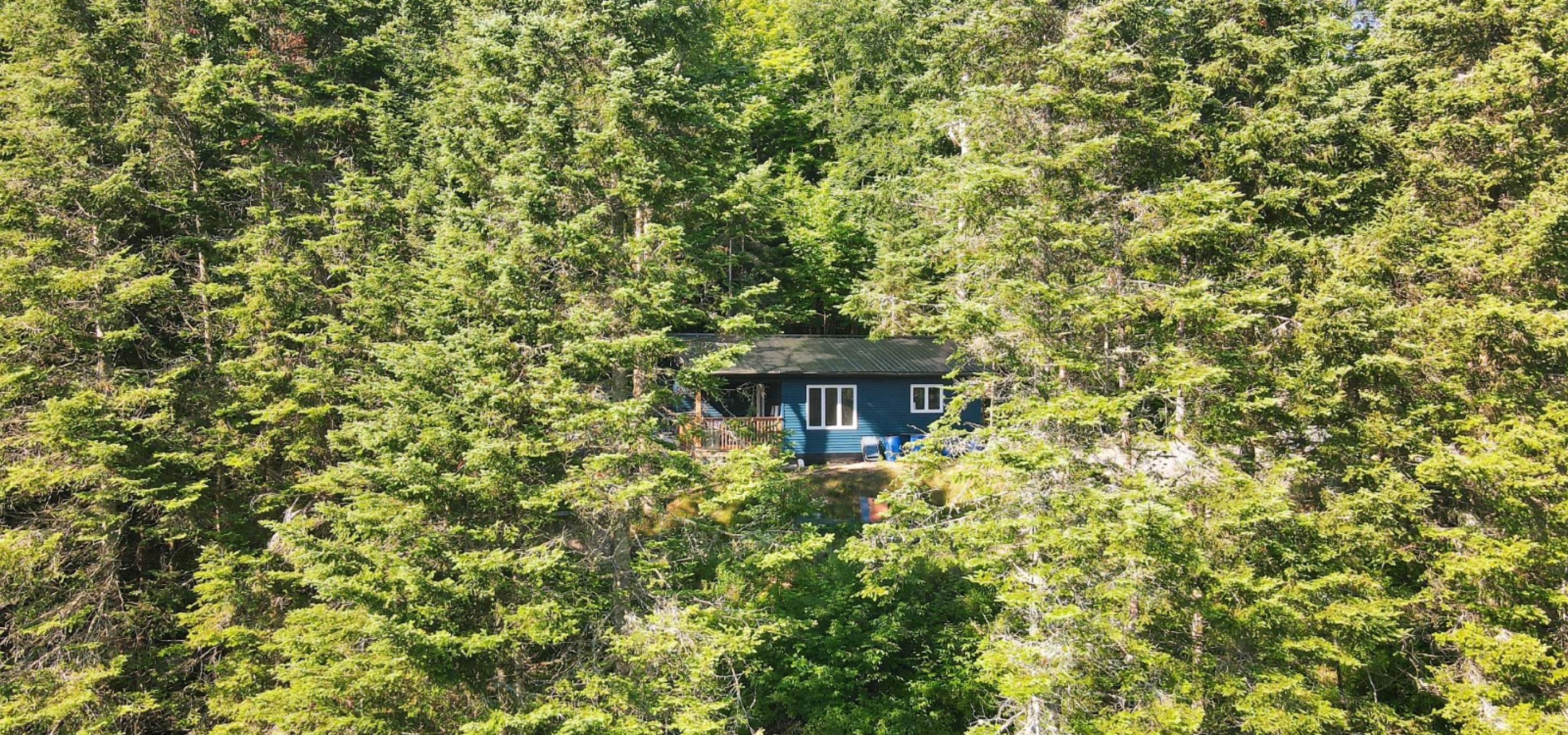 Blue cottage in the middle of a forest with a covered back deck. 