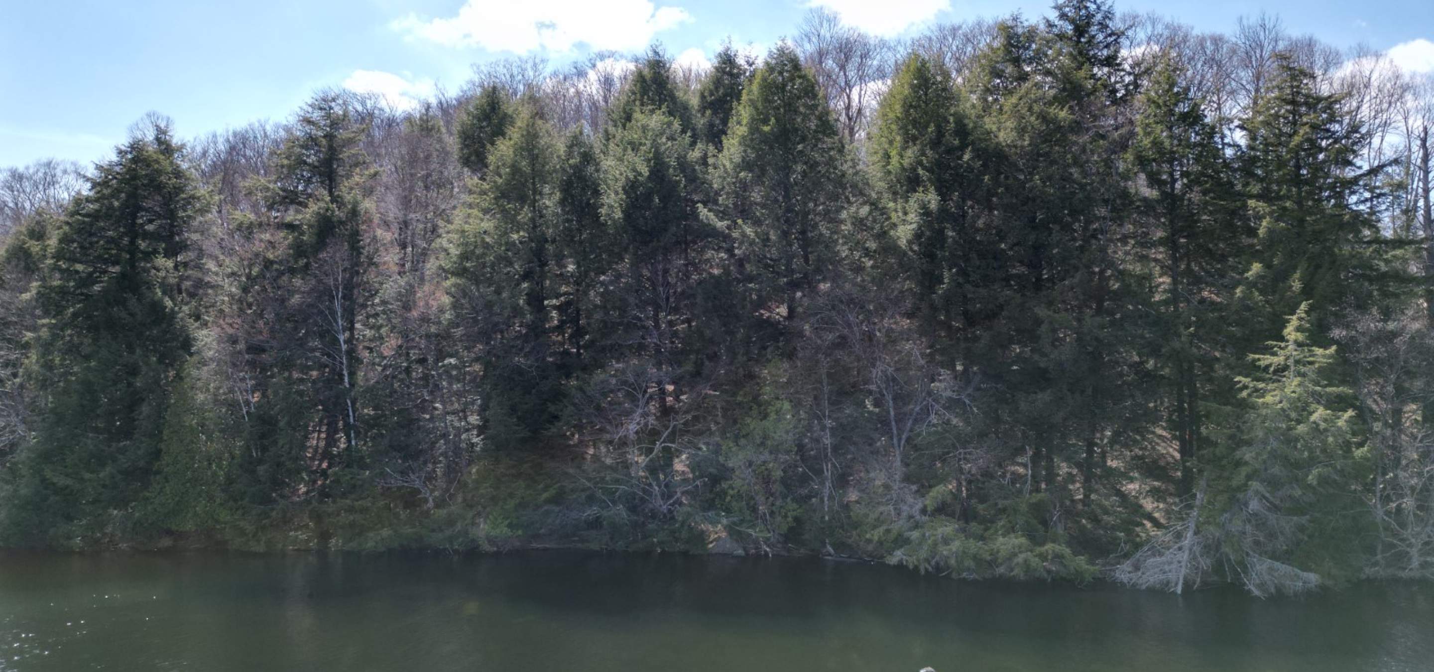 Lake with tree lined building lot