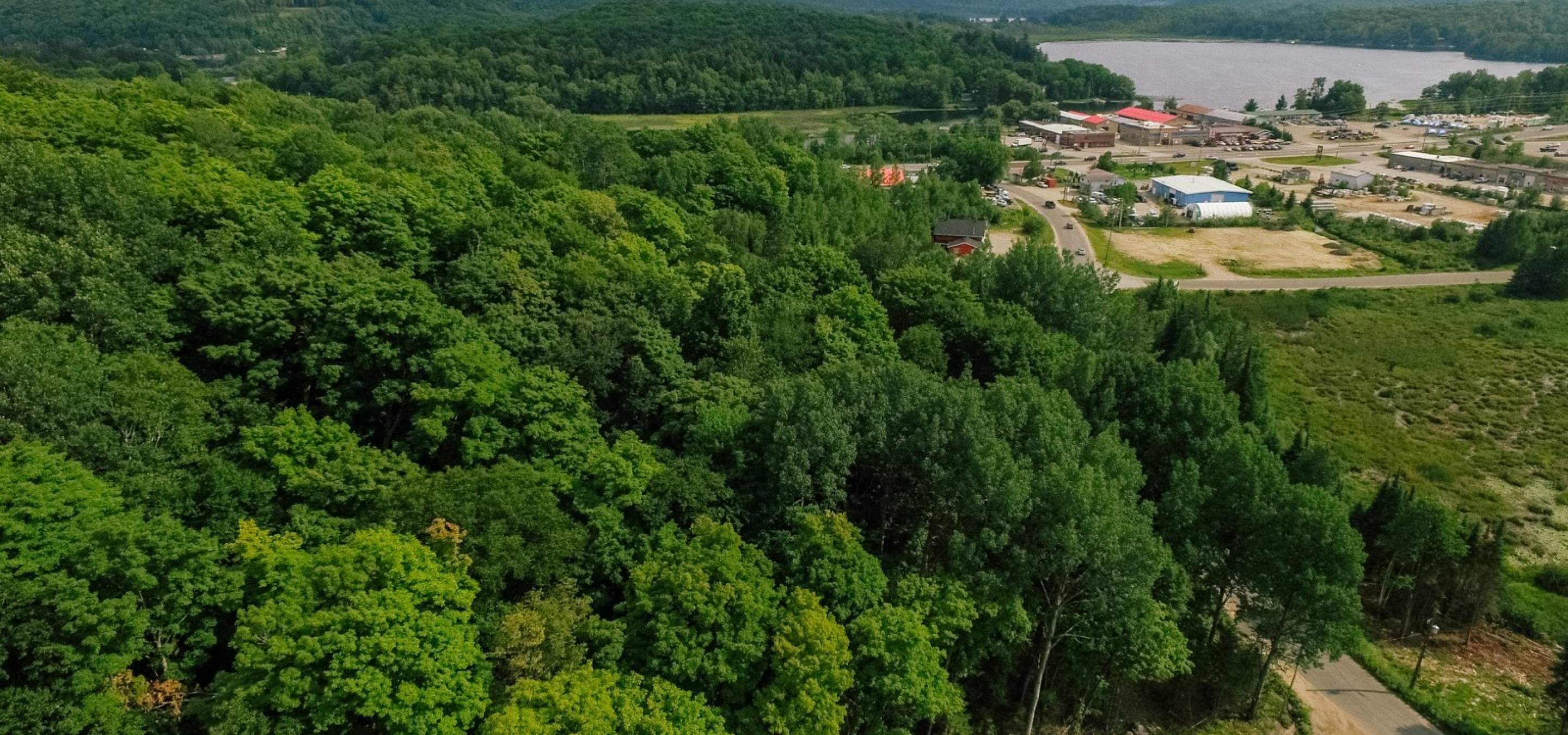 Aerial view of a green treed lot with a city in the background in front of a lake. 
