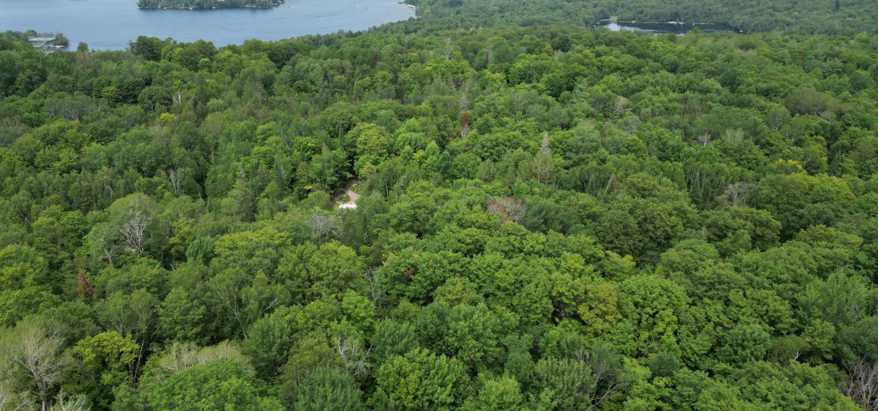 Aerial View of a vacant treed lot