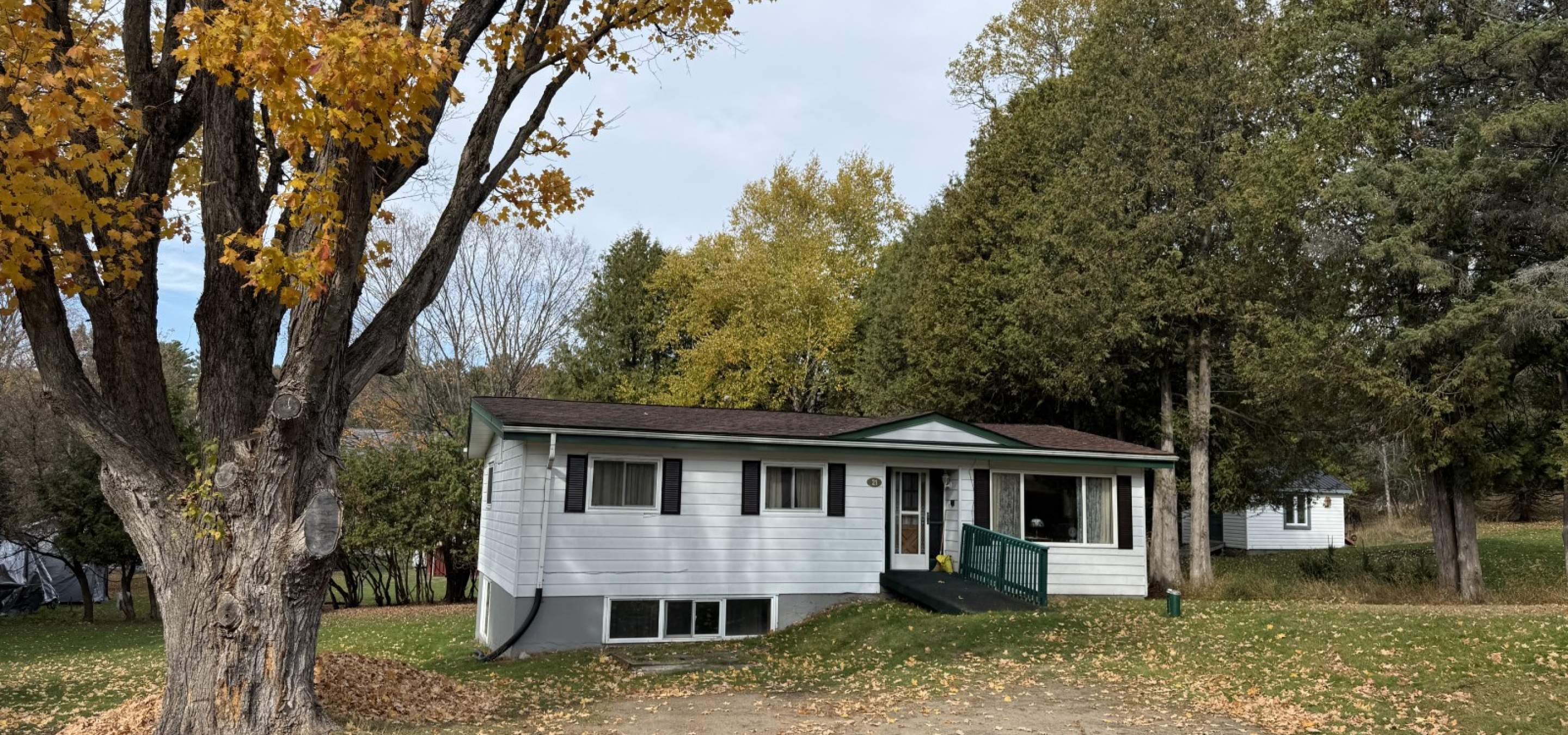 White bungalow with a large tree and gravel laneway