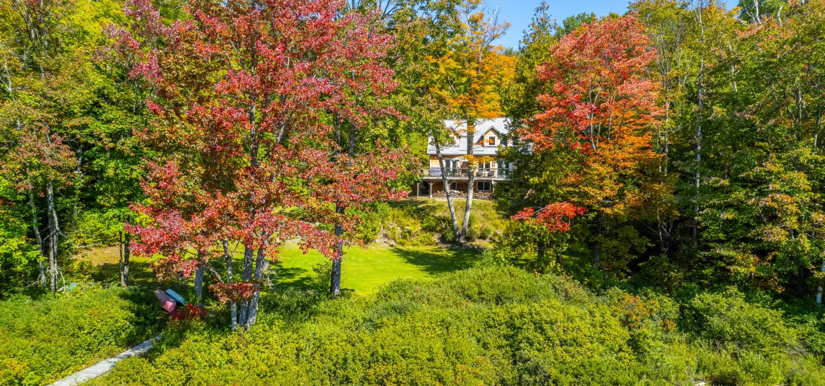 Cottage hidden amongst the trees full of leaves with green grass in front. 