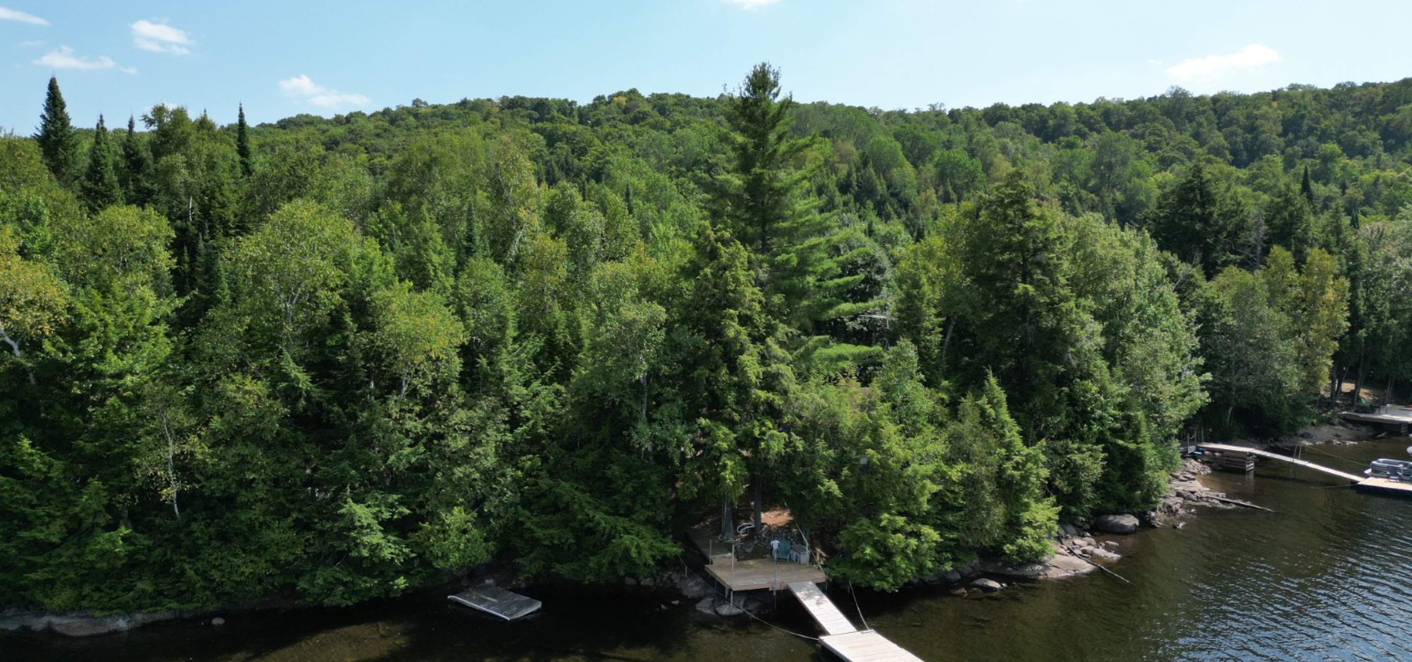 Aerial view of a treed lot with a dock in the calm water
