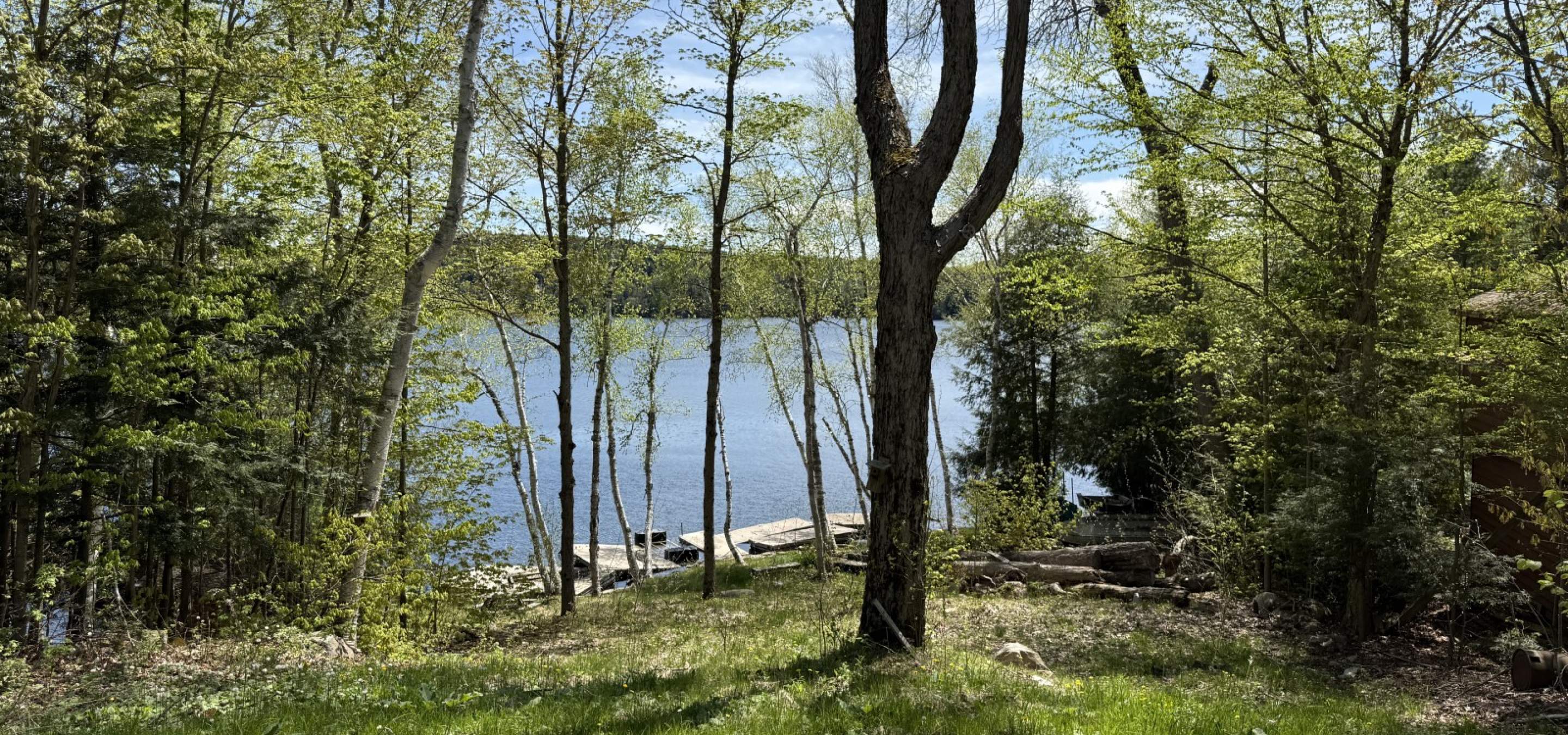 vacant lot looking out over a lake. green grass and trees