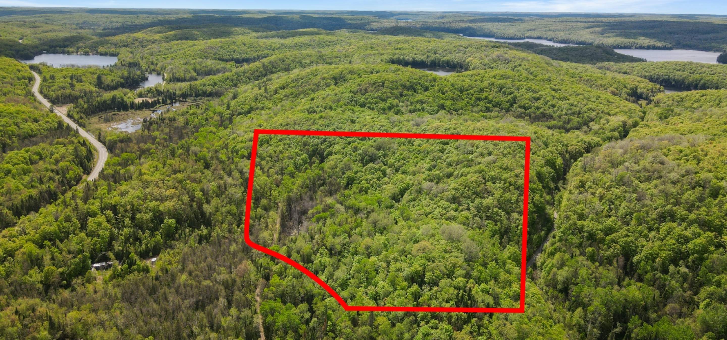 Aerial view of a treed lot with property lines marked in red