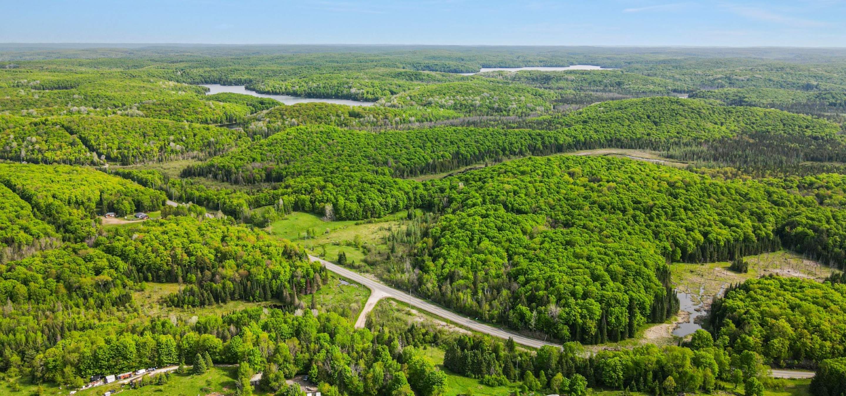 Aerial View of a building lot with trees