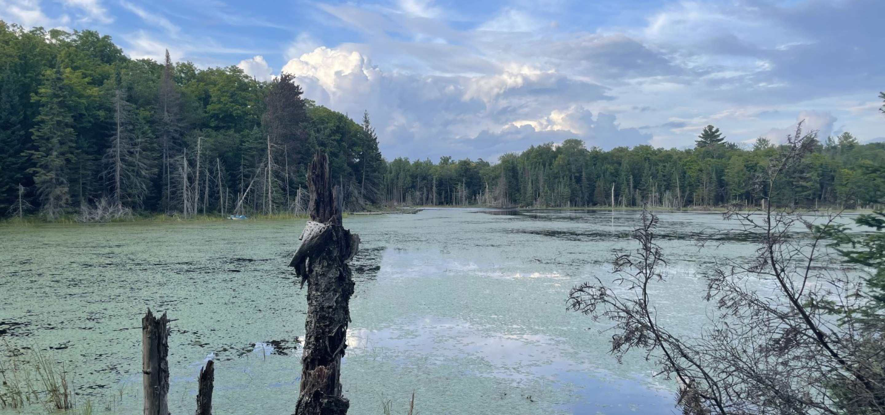 37 Acres at 2150 Haliburton Lake Road, Haliburton