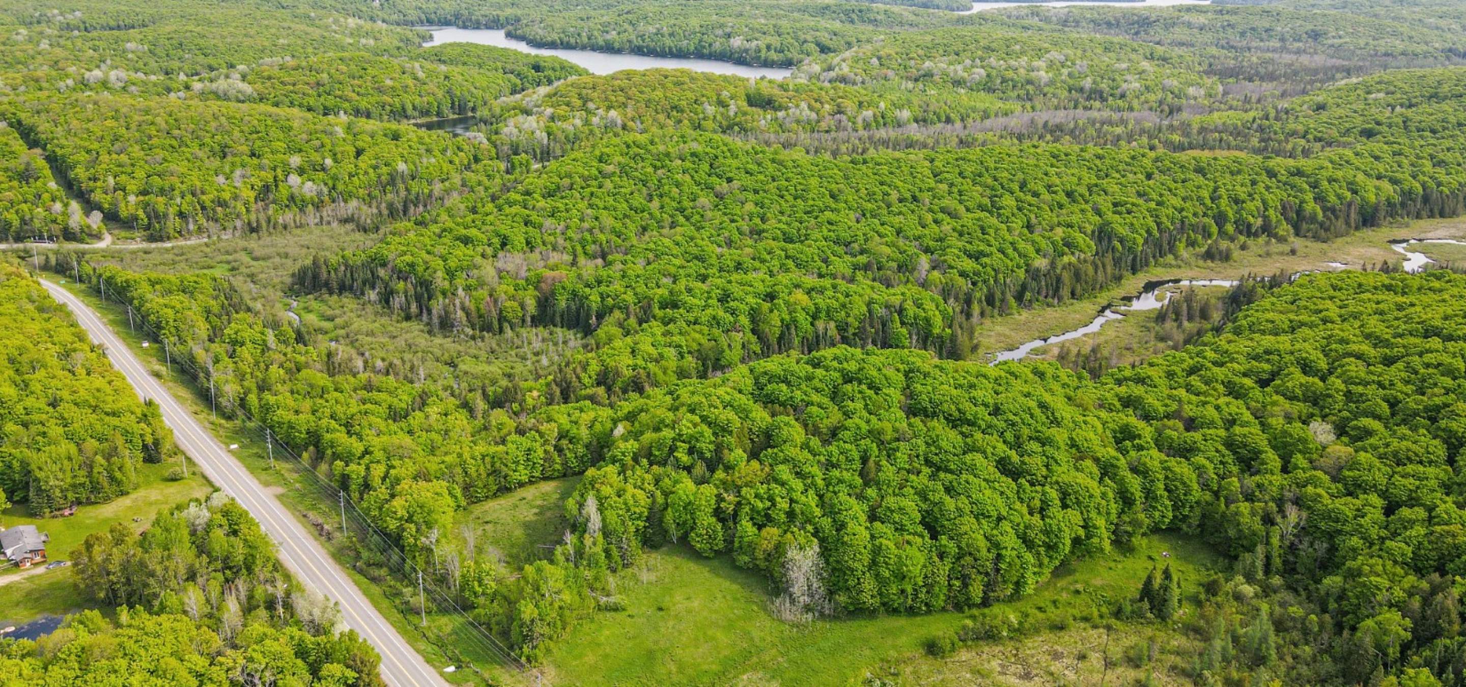 Aerial view of a lot