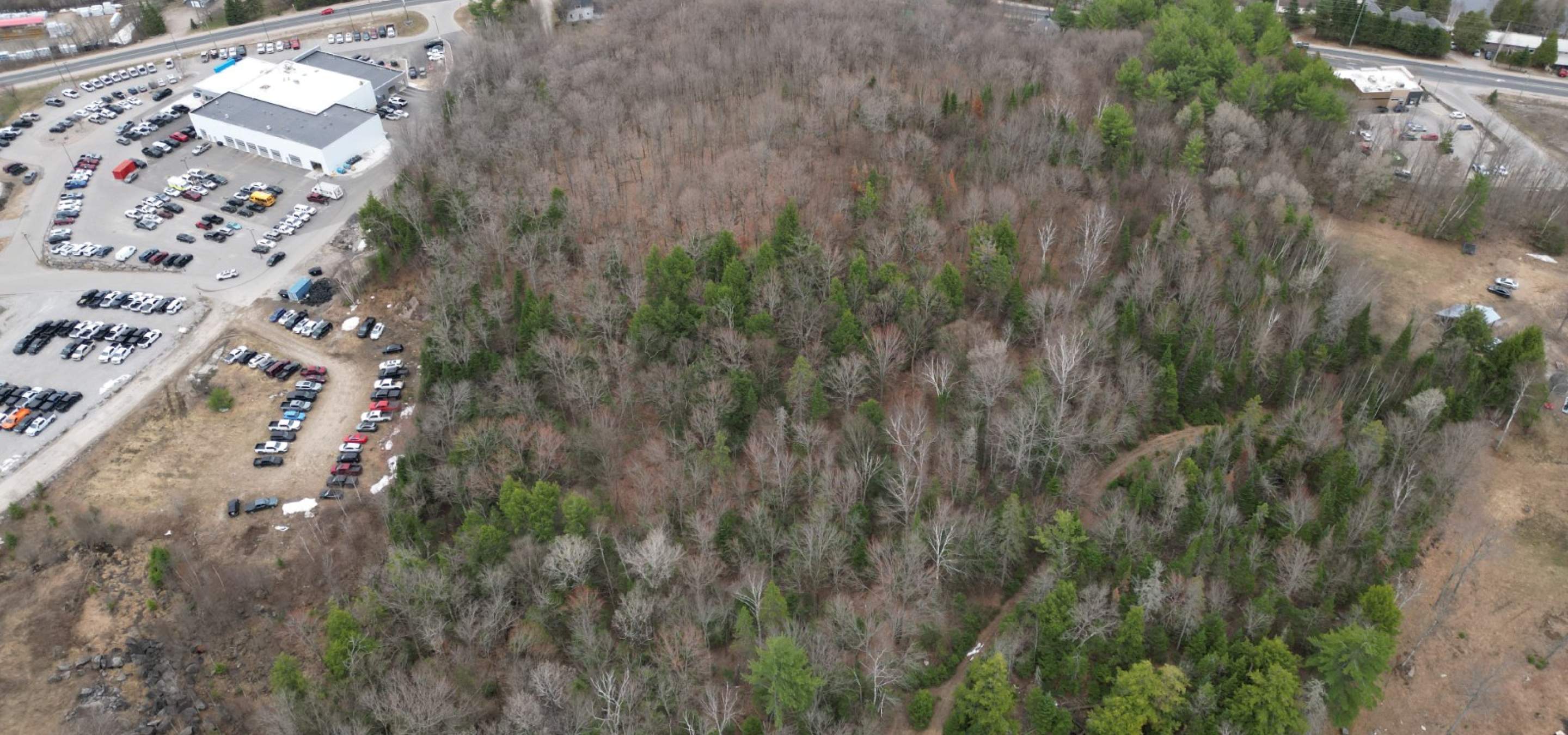 Aerial view of a treed lot with the lake in the background