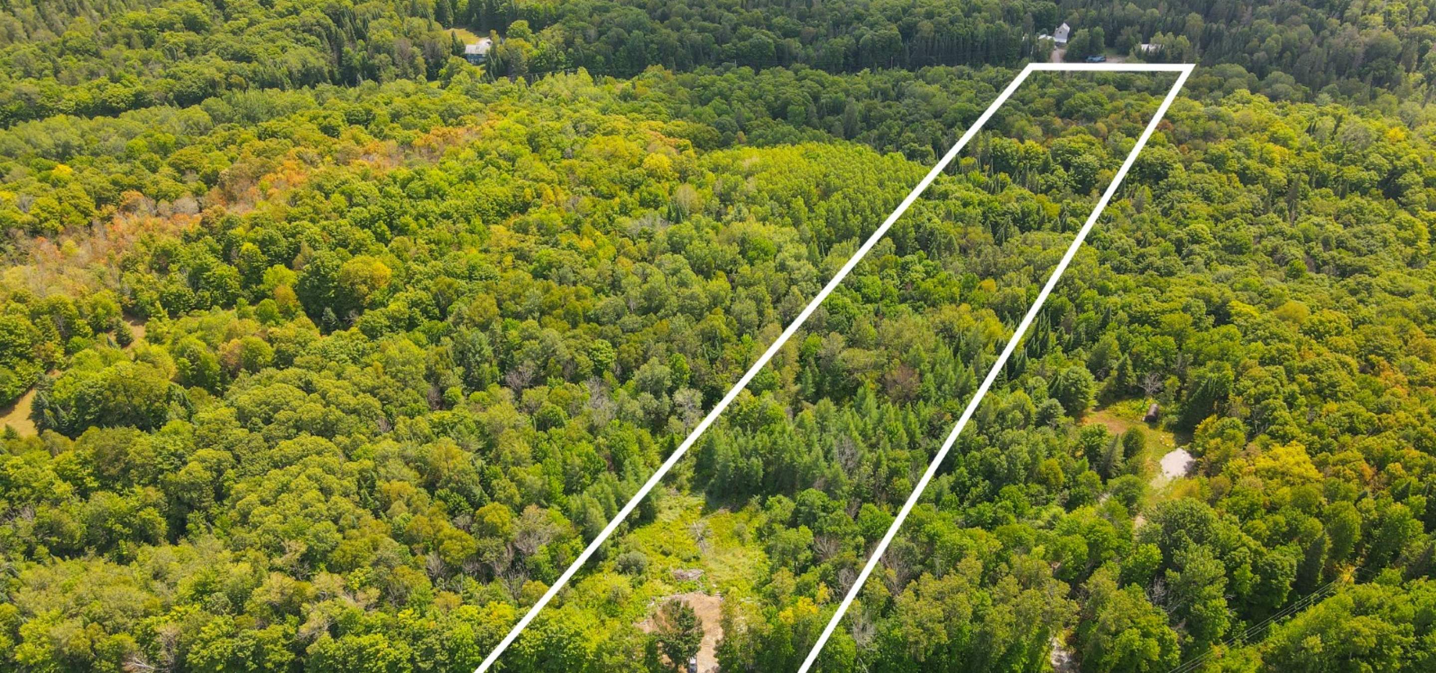 Aerial view of a treed lot