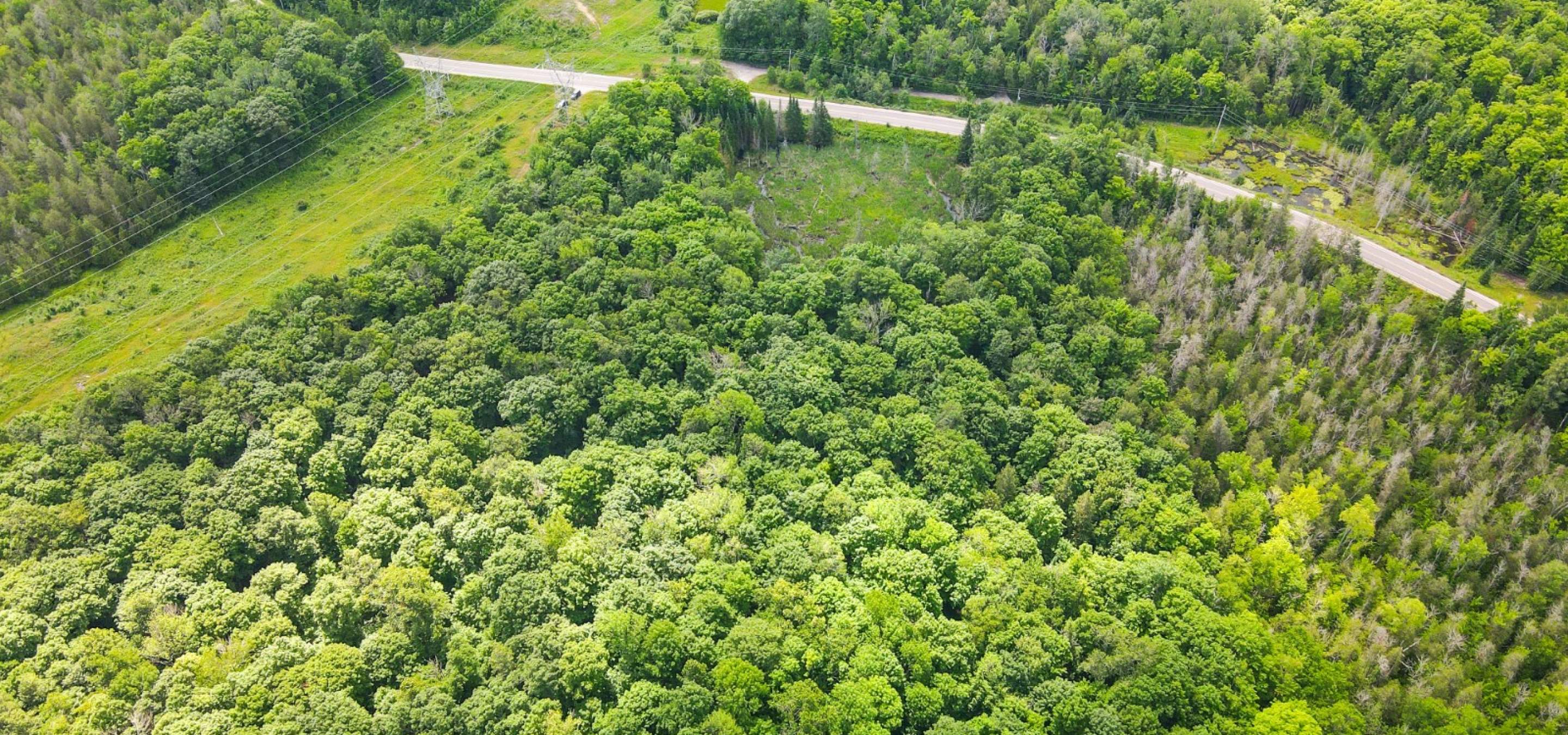 Aerial view of lot
