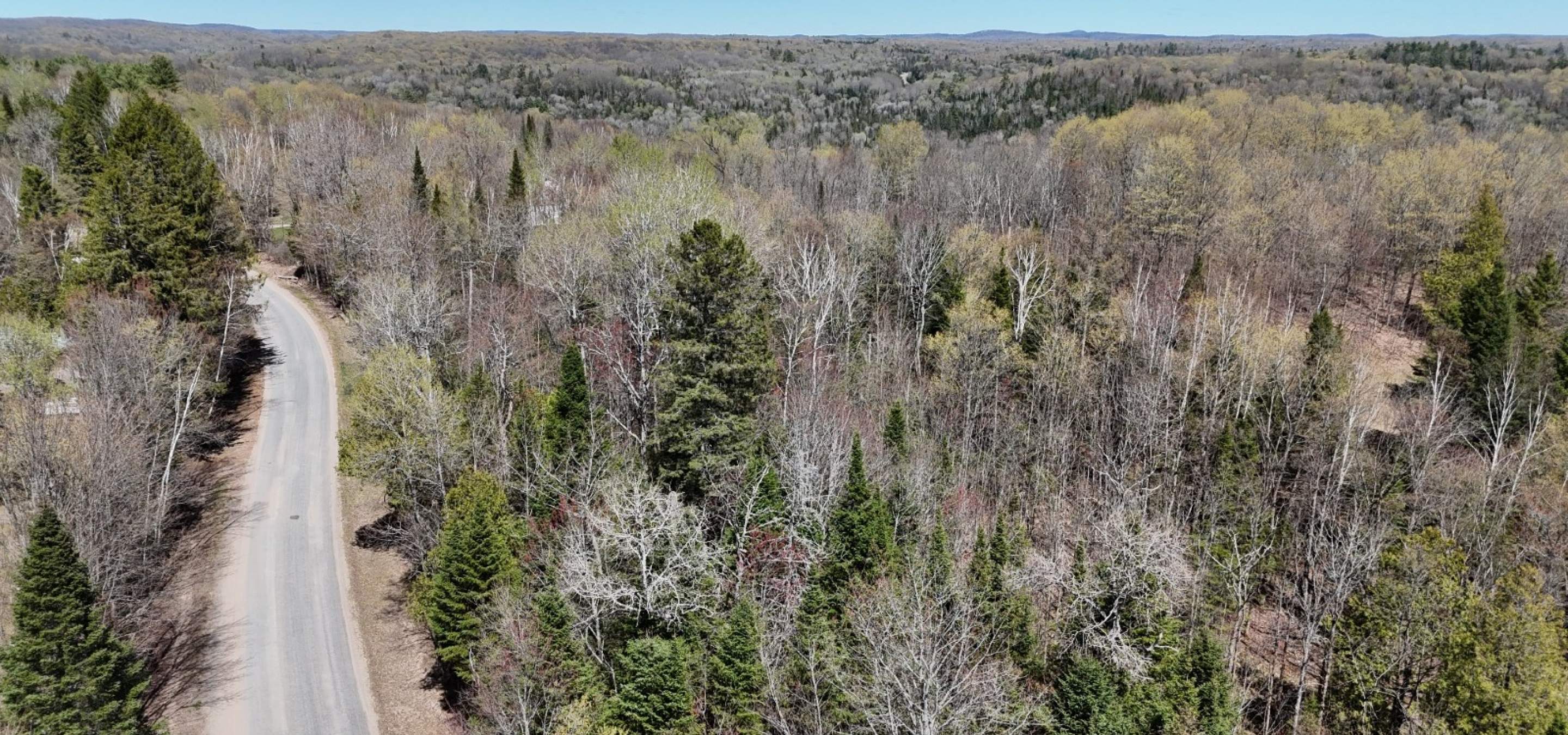 Aerial view of a treed lot with roadway
