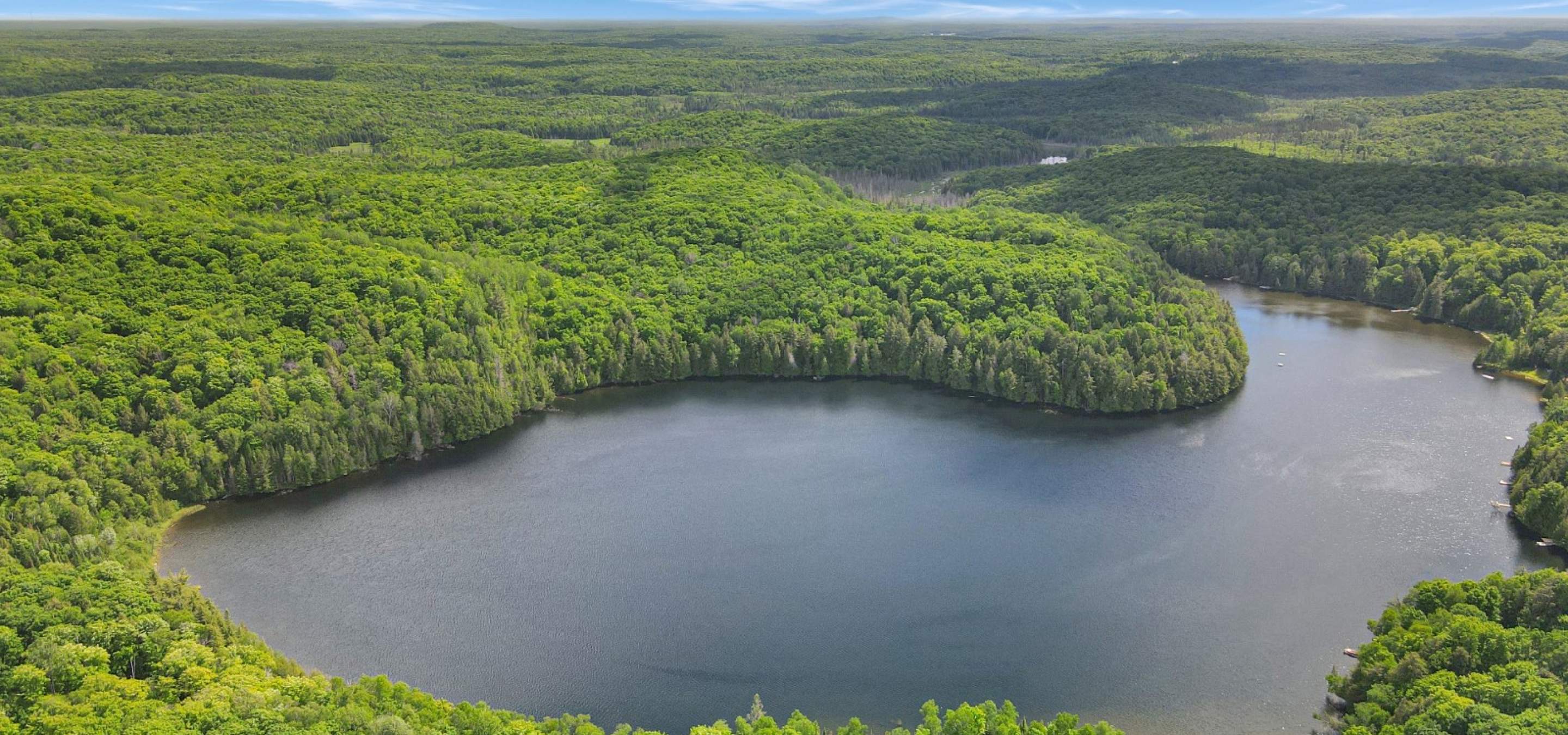 Lake with surrounding forest and blue sky.