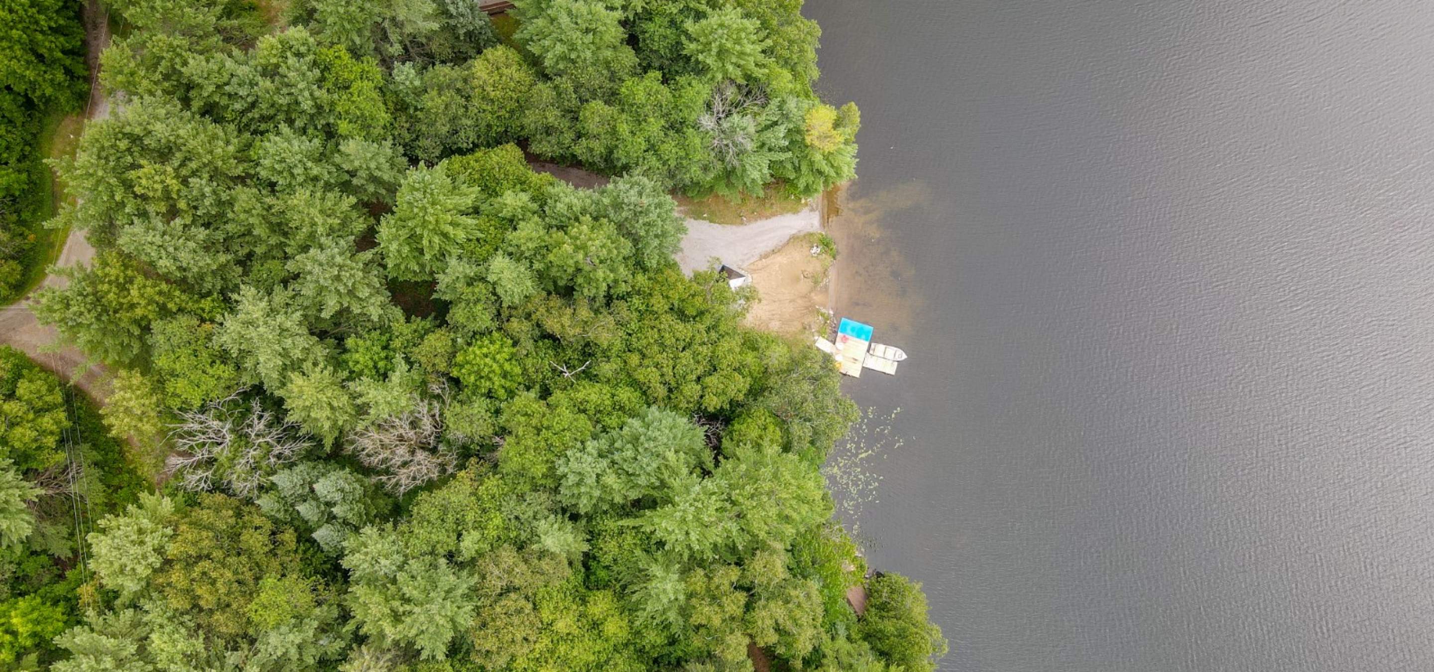 Waterfront tree lot with a boat ramp and dock into the lake. 