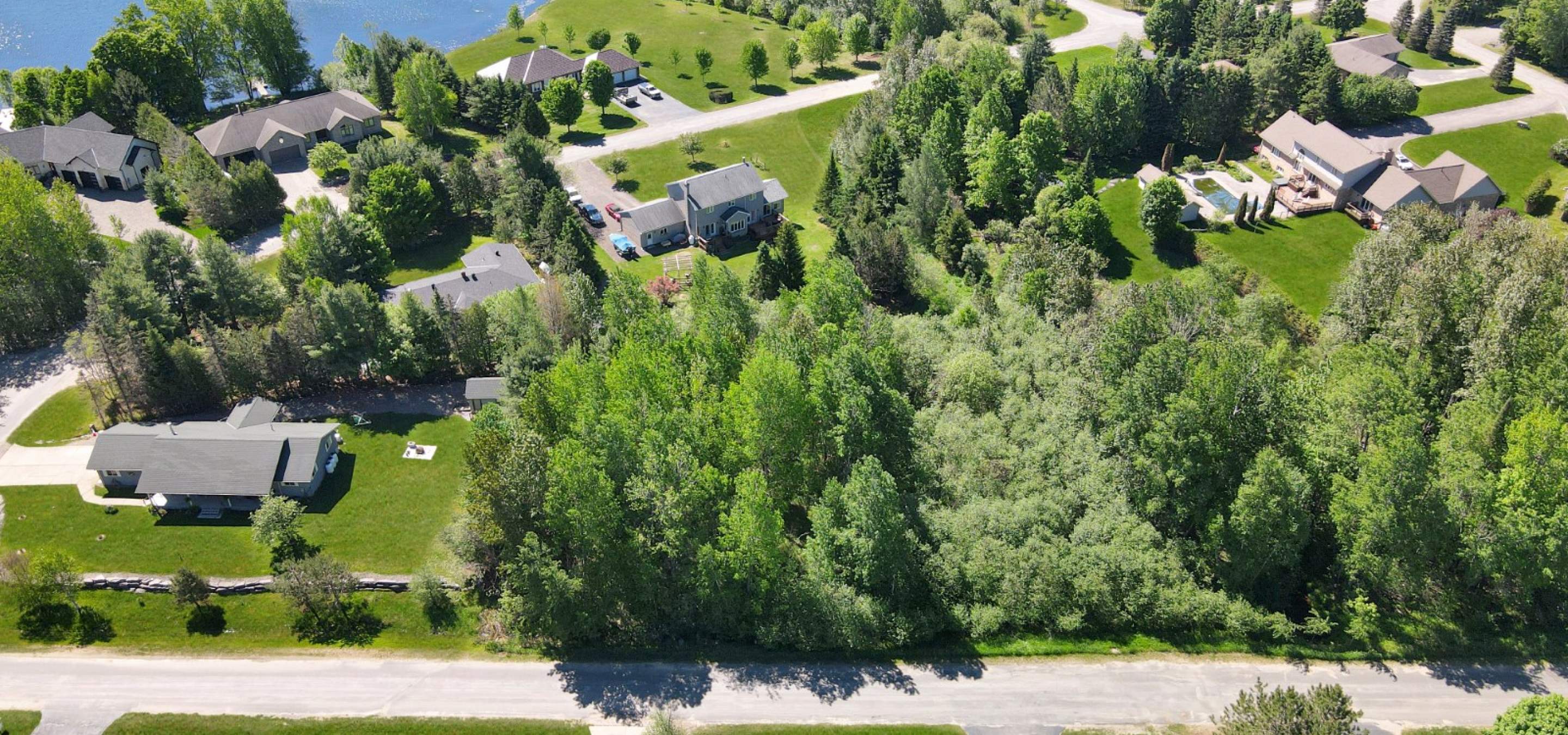 Treed lot with houses around it and a lake in the background