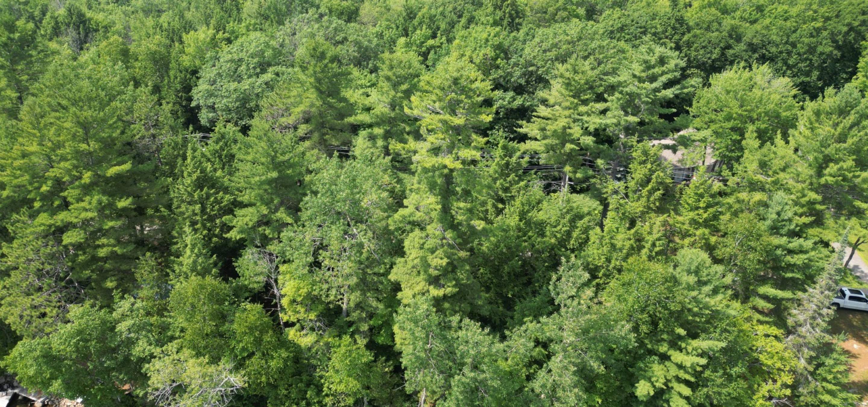 Aerial View of a building lot on the water