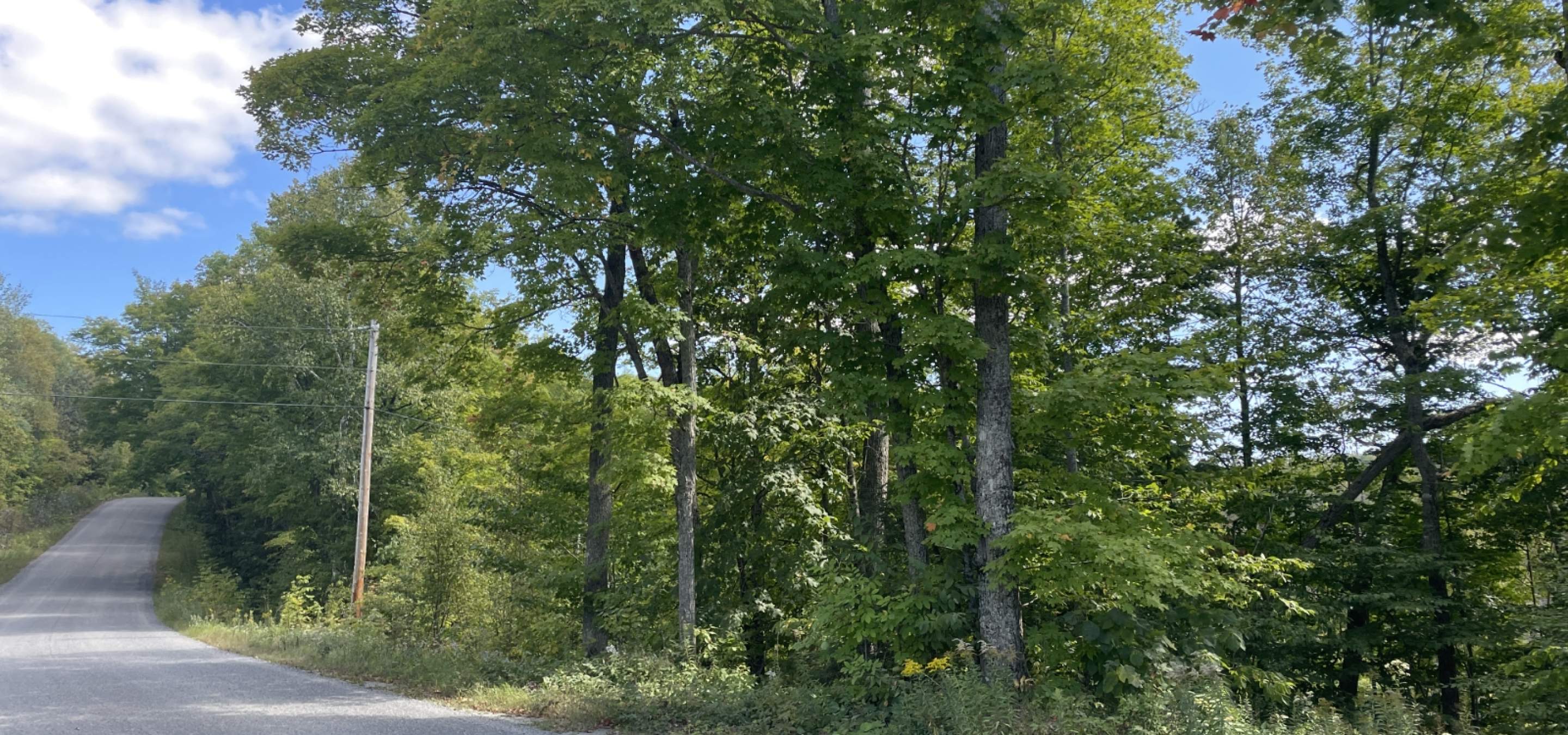 Country road curve with forest on the right, hydro pole visible and blue sky and cloud. 