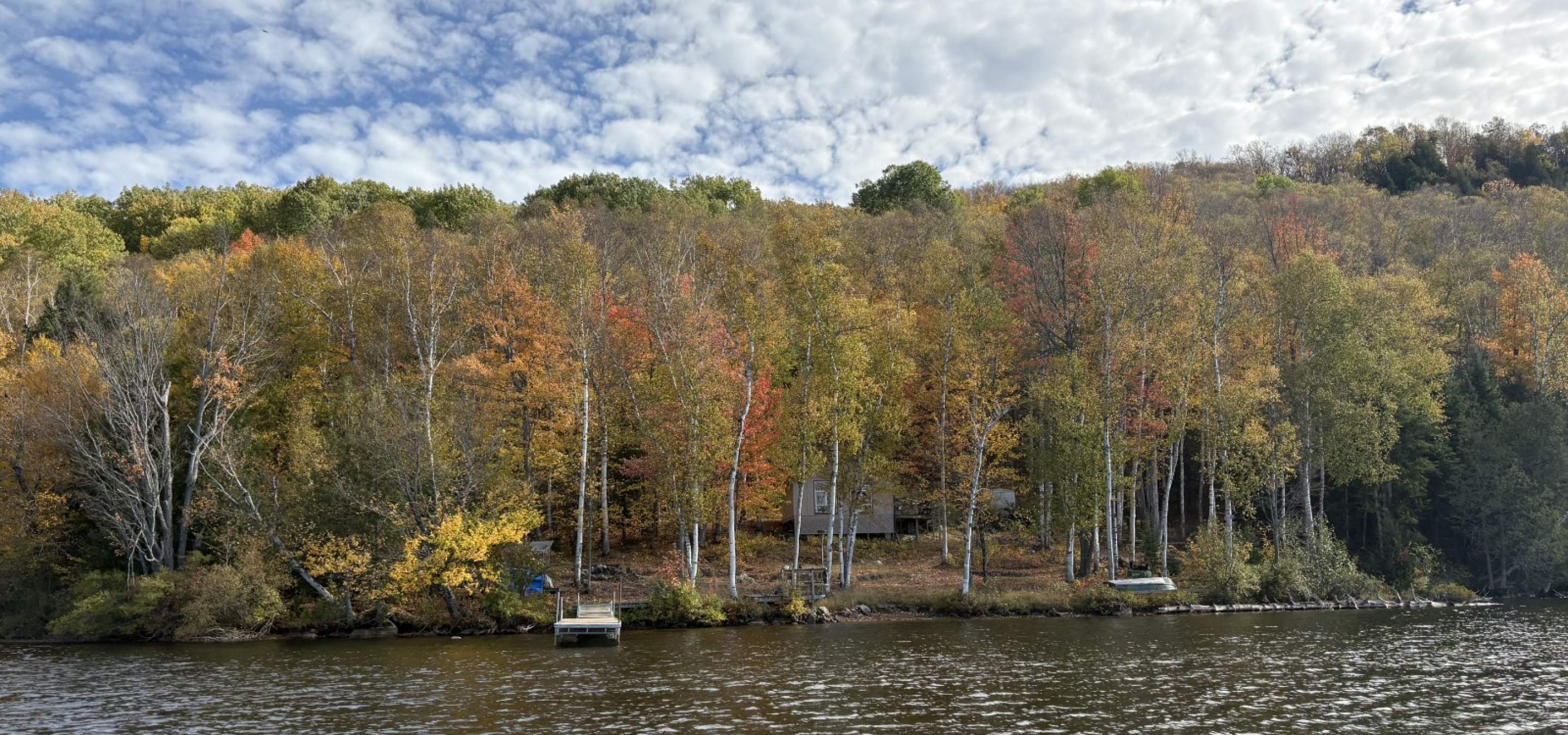 view of a cabin in the woods from the lake.