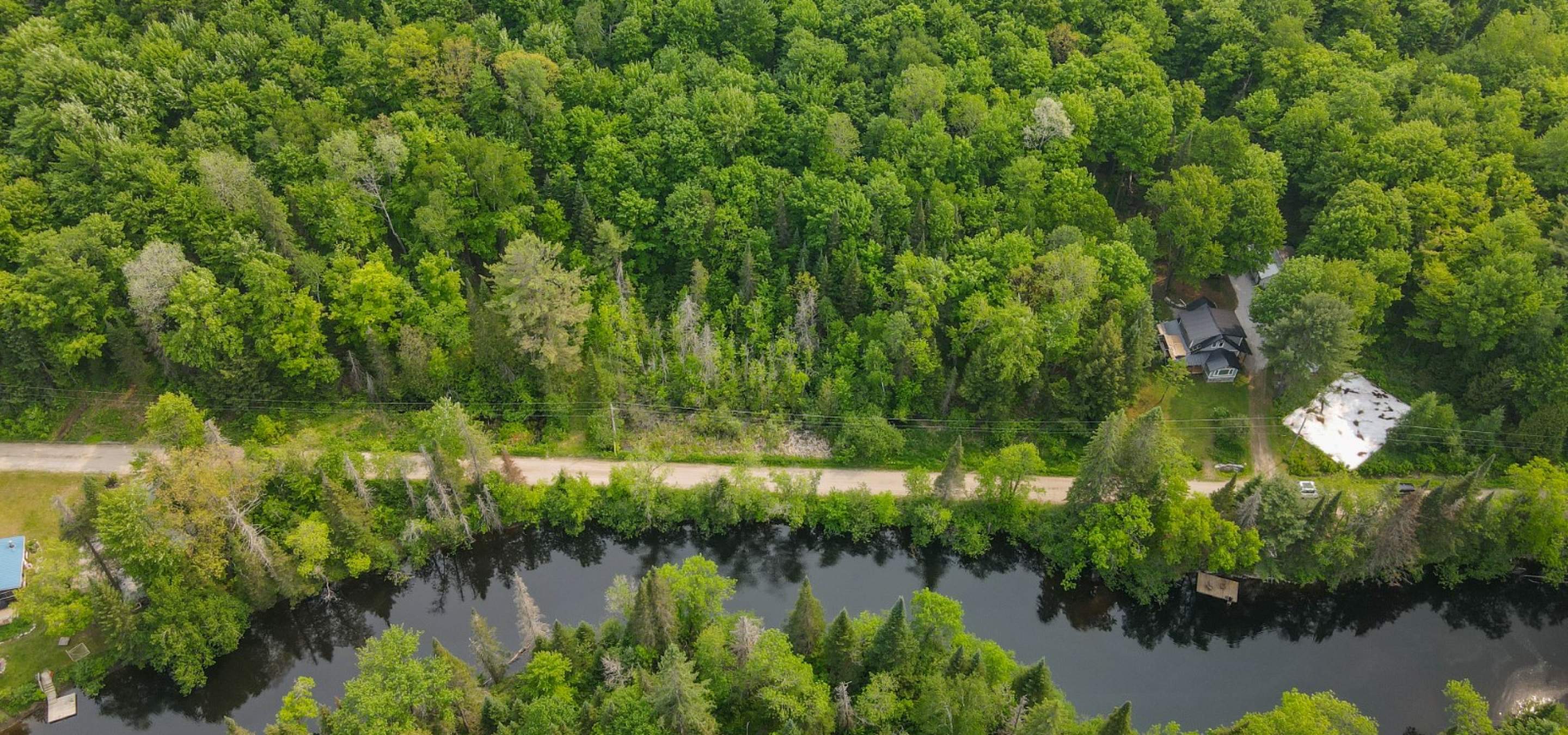 Lush green forest with a country road and riverfront in front of the property