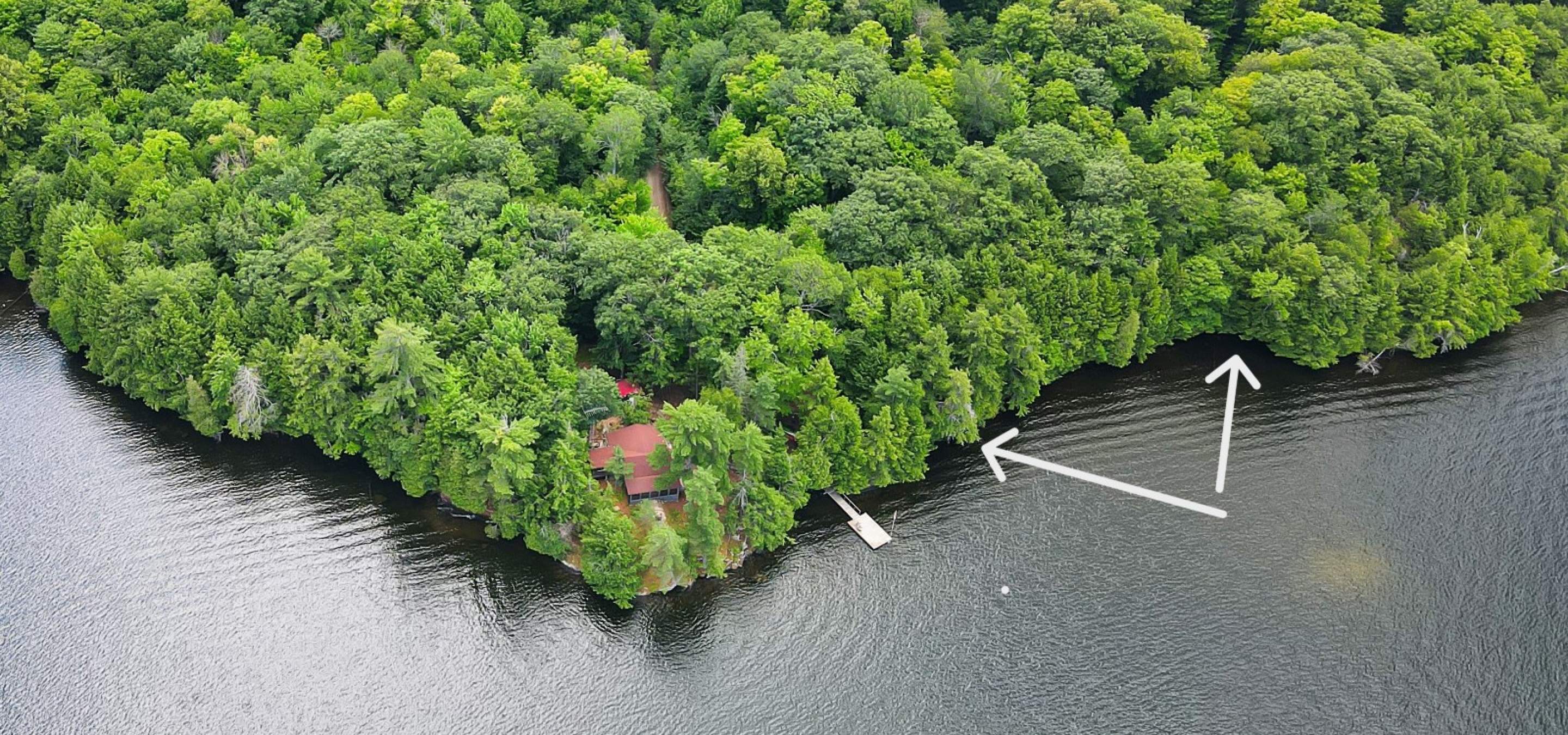 Forested property on a lake with a red roof cottage on a point and dock in the water.