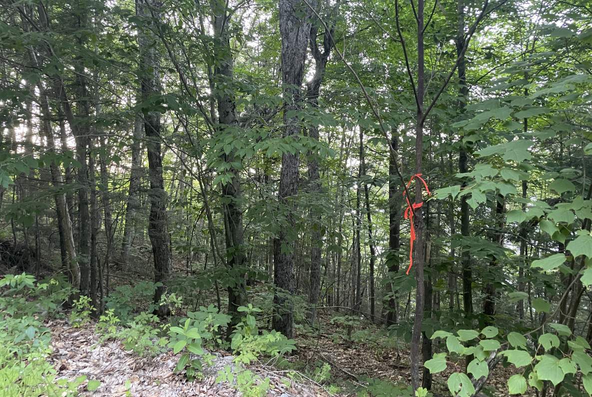 10acre building lot on Blue Heron Trail, Little Redstone Lake listed