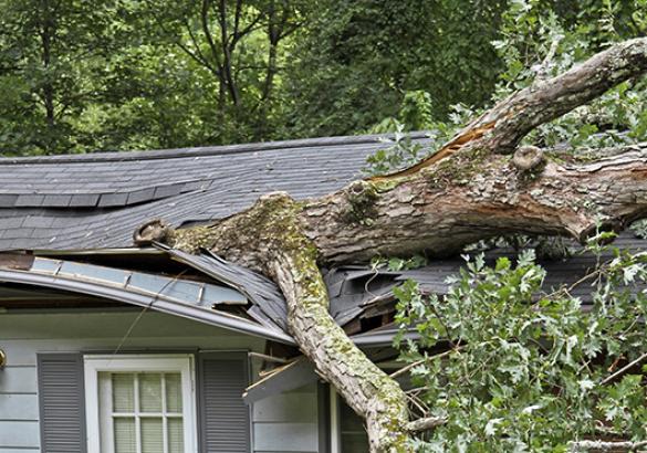 Avoid These Cottage Insurance Nightmares thumbnail
