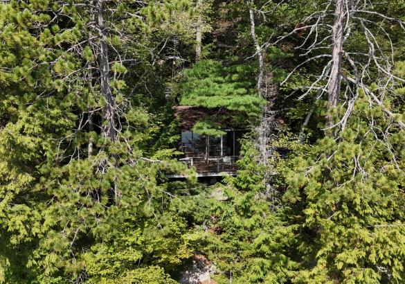 Aerial View of a cottage framed with trees all the way around it. 