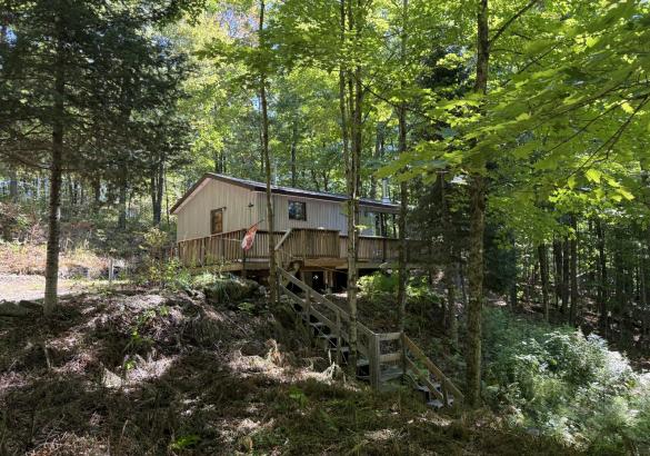 White cottage surrounded by trees