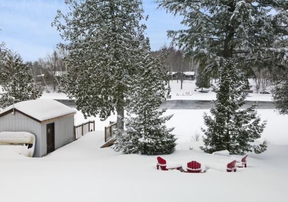 View from deck with patio table and umbrella, with trees in the background.