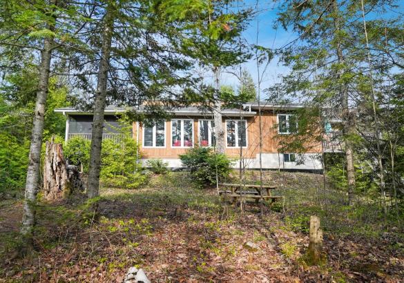 cottage behind trees with a picnic table in front