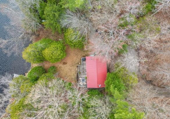 Aerial view of a cottage with a red roof, surrounded by trees