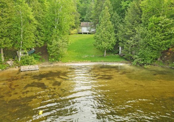 Cottage hidden in treed privacy with a grass lot leading to a sandy shoreline. Gradual entry into the lake and a small floating dock,