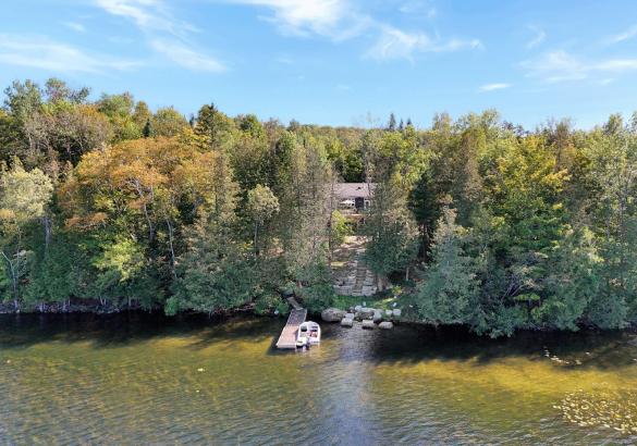 view from the lake looking at a cottage hidden behind trees, stone stairs up to it, and a dock in the lake