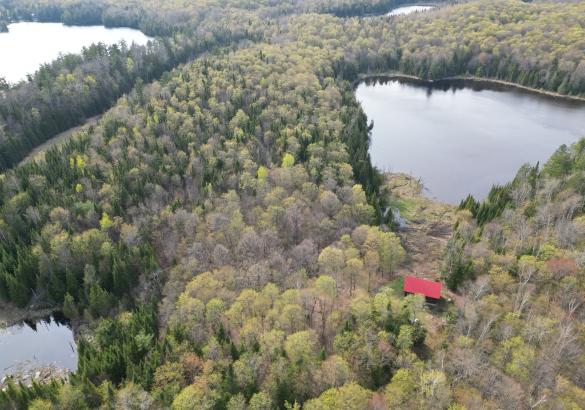 Acres of trees surrounding a cabin with a red roof facing out over a lake.