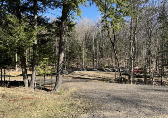 Gravel driveway to level clearing surrounded by trees.