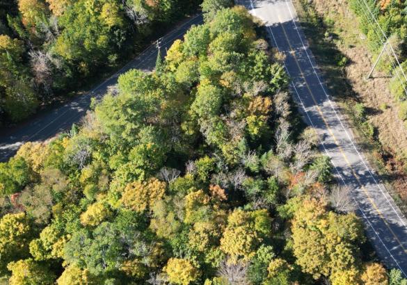 treed lot from above with a road on the right side of the photo. 