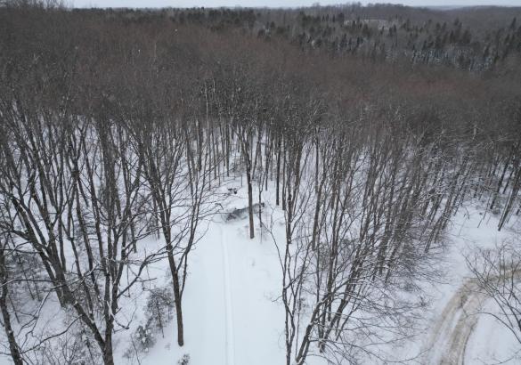 Aerial view of a snow covered lot with trees