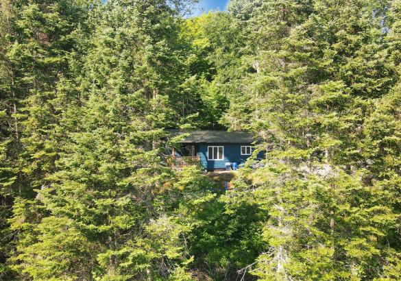Blue cottage in the middle of a forest with a covered back deck. 