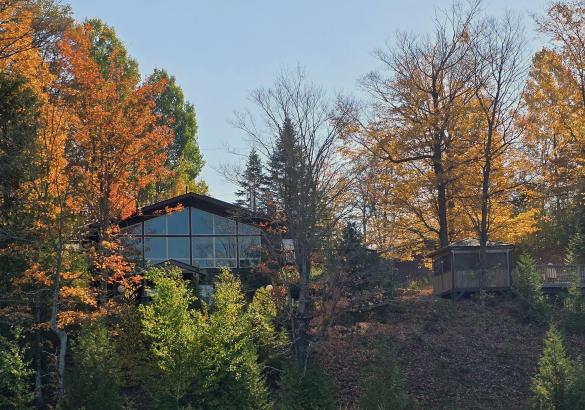 Cottage hidden by trees with fall colours